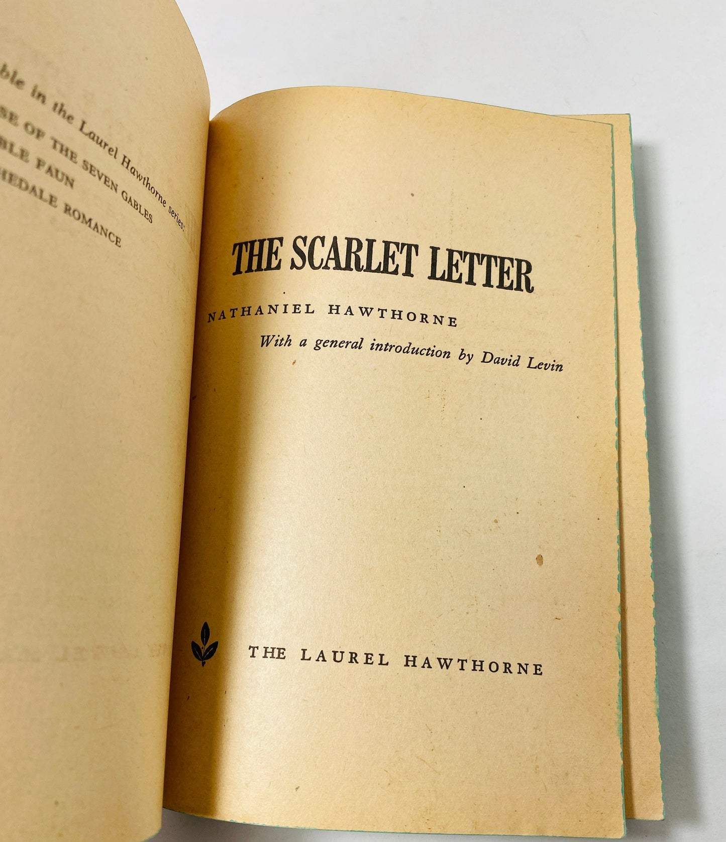 1969 Scarlet Letter vintage paperback book by Nathaniel Hawthorne Explores sin, vengeance and regeneration as a consequence of adultery