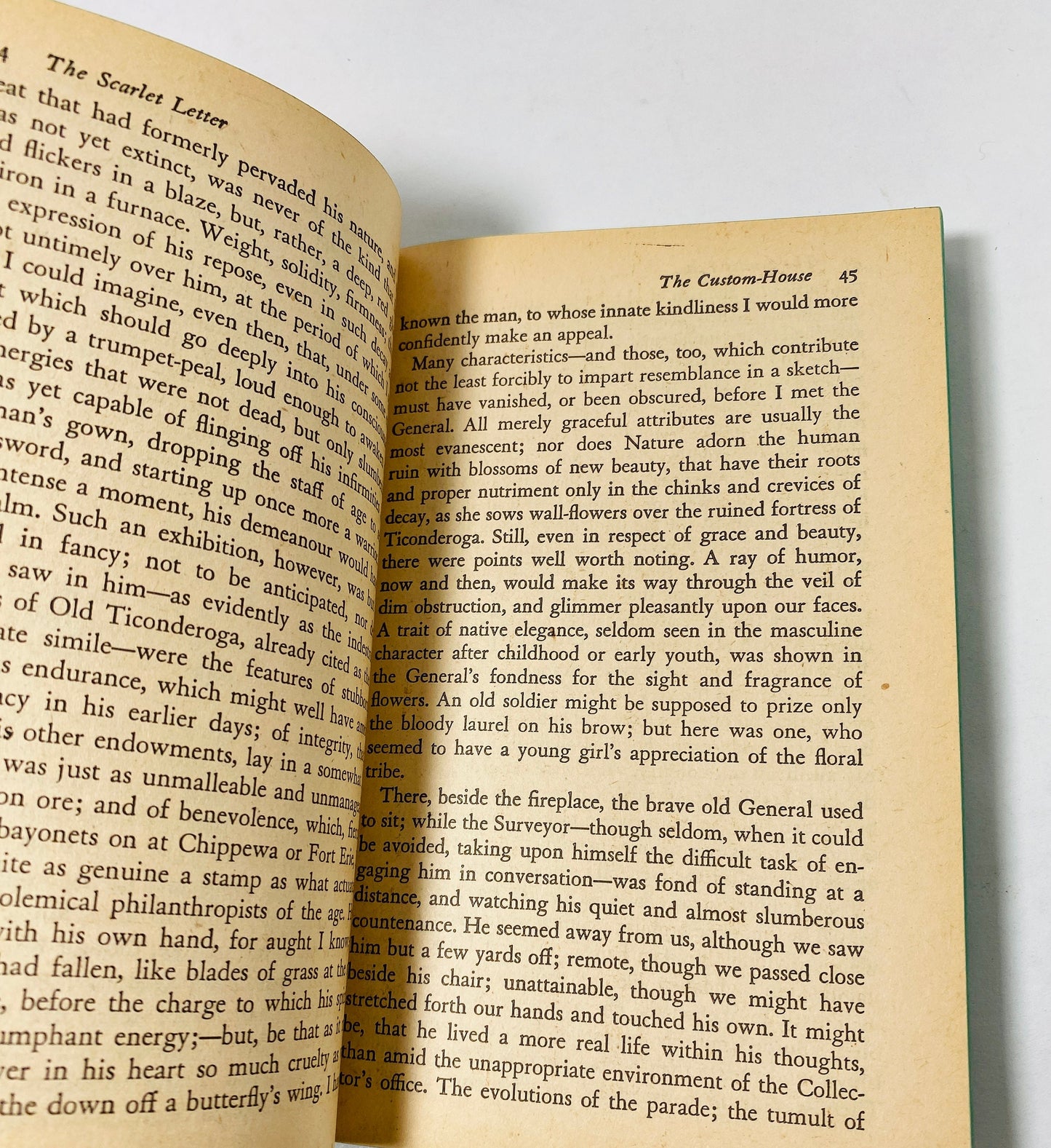 1969 Scarlet Letter vintage paperback book by Nathaniel Hawthorne Explores sin, vengeance and regeneration as a consequence of adultery