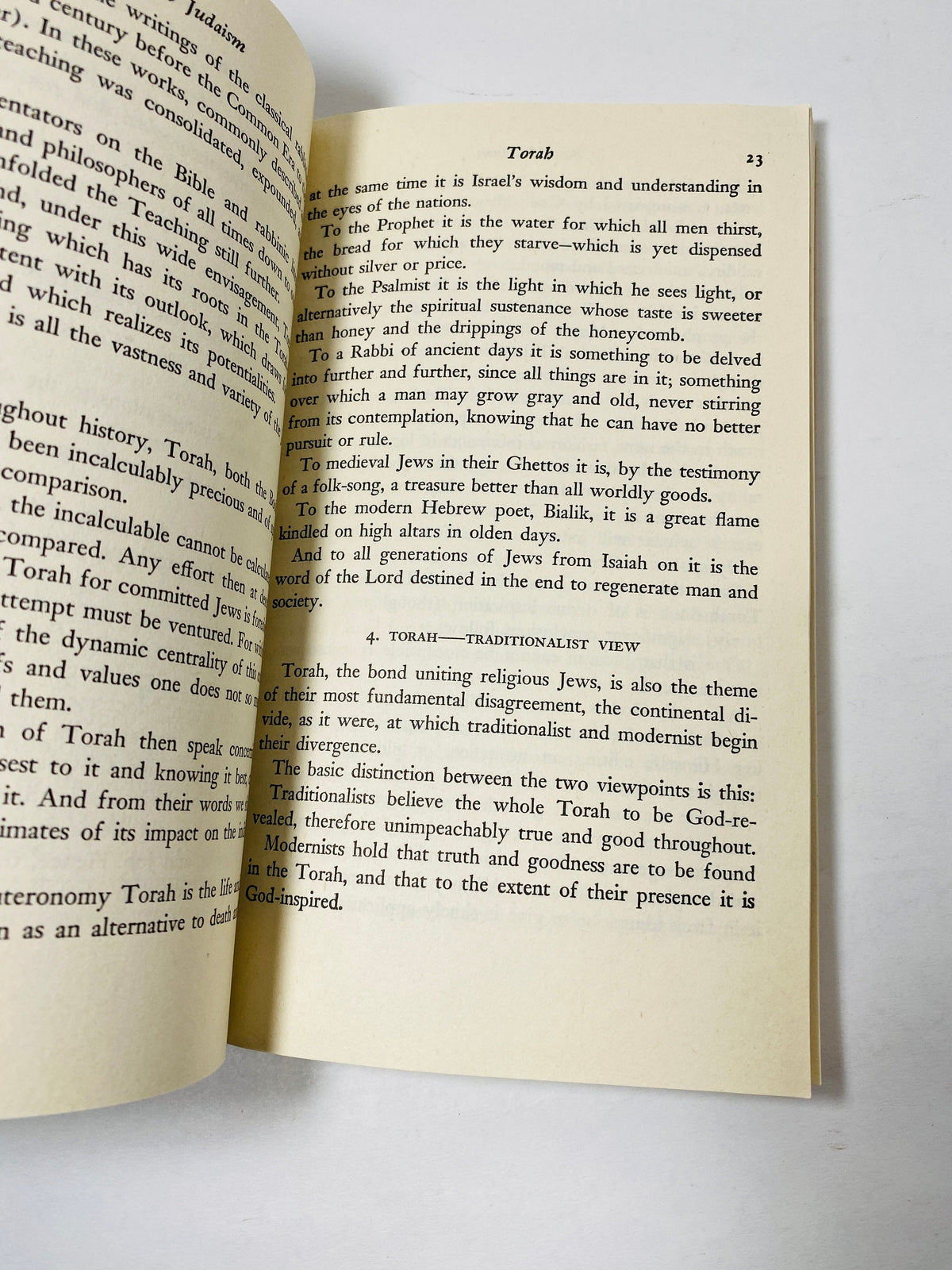 Judaism vintage paperback book circa 1975 Jewish introduction gift Guide to torah understanding anti-antisemitism. Chanukah gift