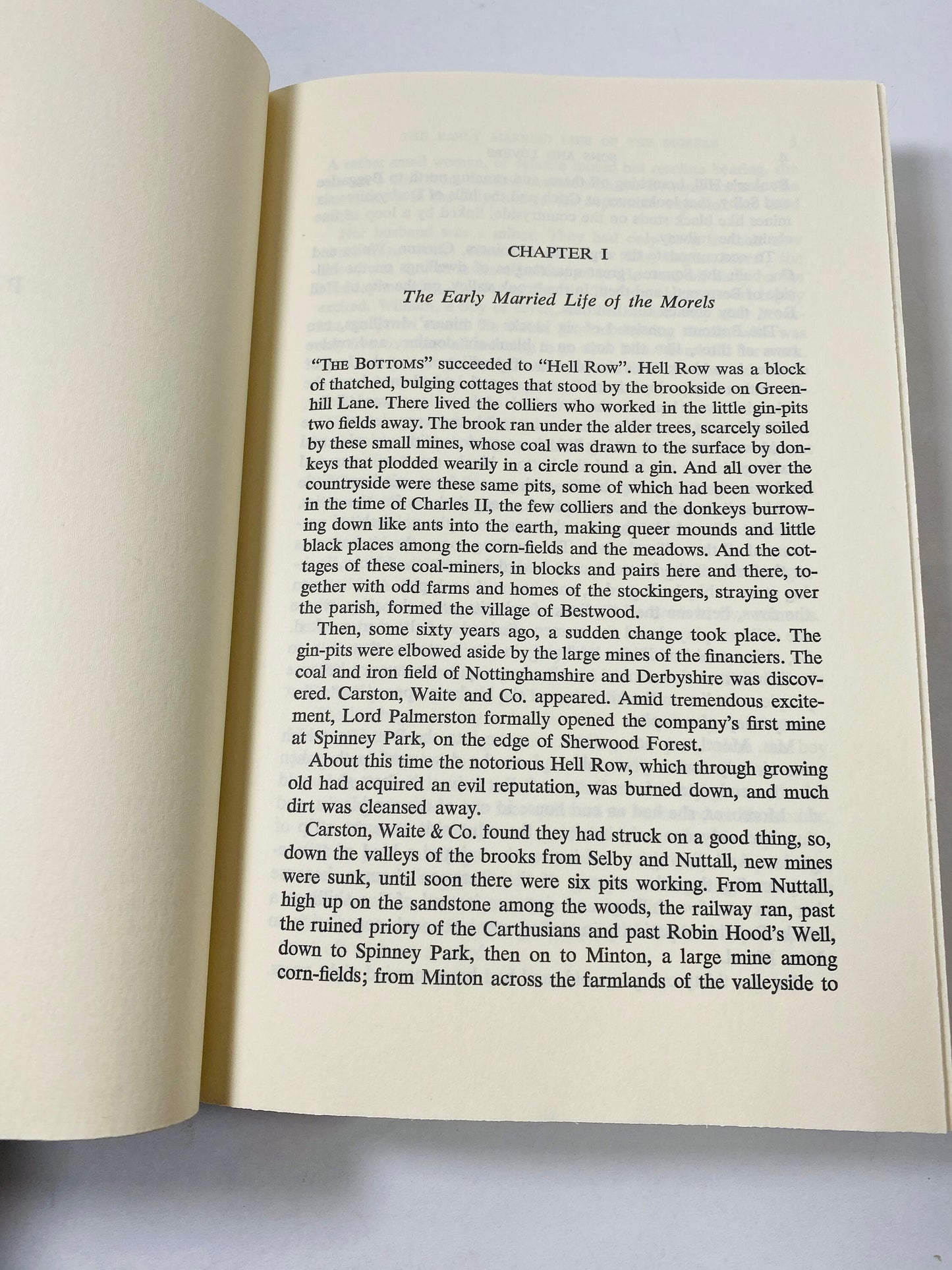 Sons and Lovers by DH Lawrence vintage book circa 1962 Oedipus complex Freudian allegory. Listed in top 10 books!