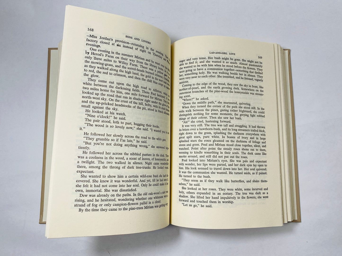 Sons and Lovers by DH Lawrence vintage book circa 1962 Oedipus complex Freudian allegory. Listed in top 10 books!