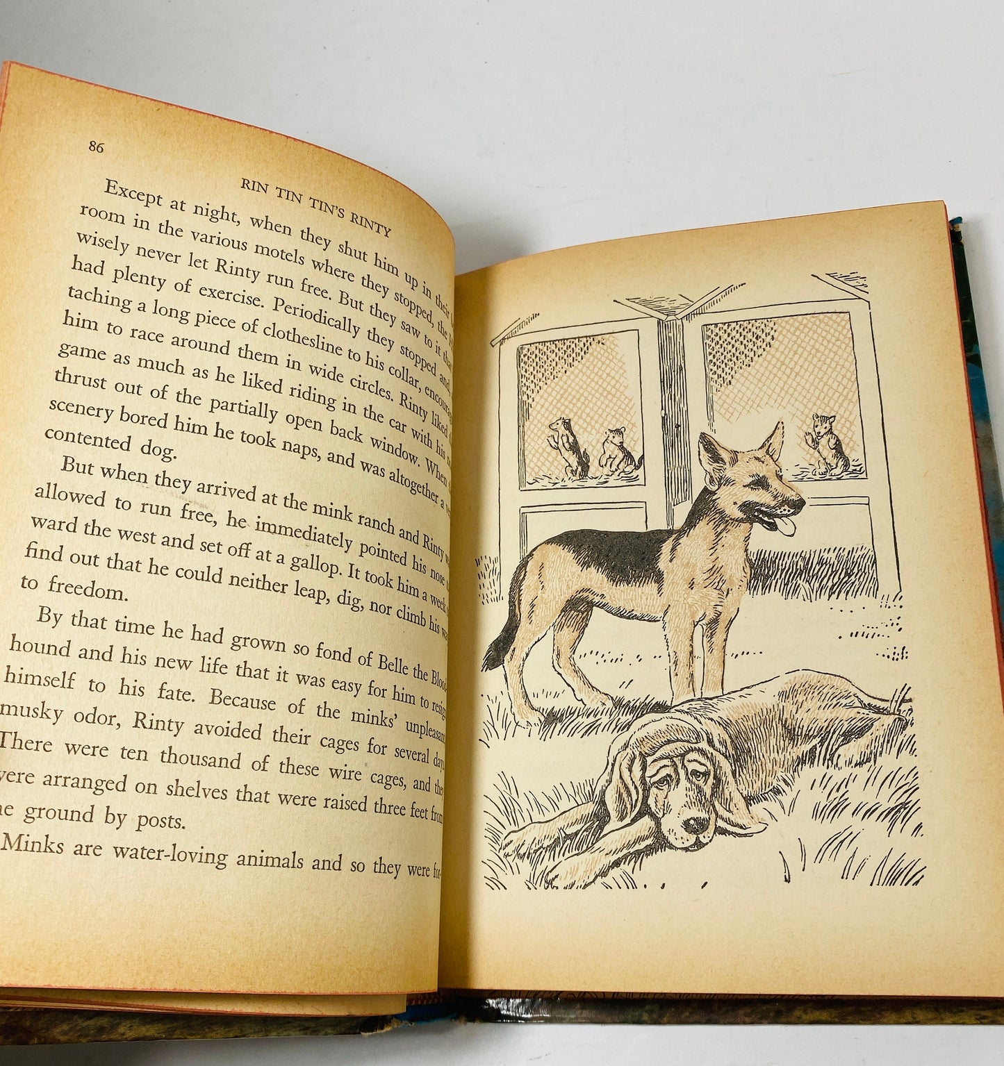 Rinty television vintage Rin Tin Tin book famous German Shepherd movie by Julie Campbell circa 1954 Cello Cameo Edition Gift for Dog Mom Dad