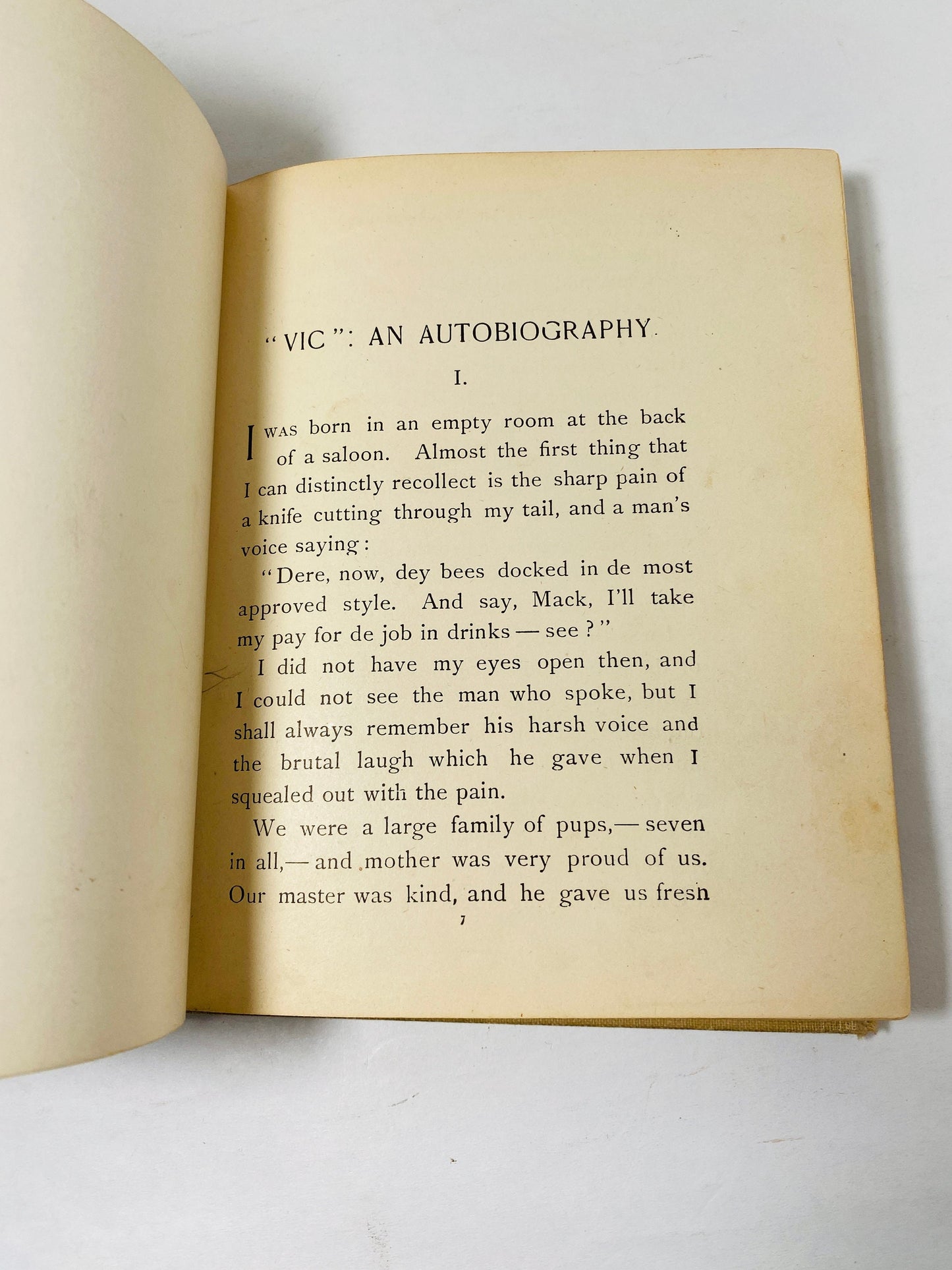 Vic the Autobiography of a Fox Terrier FIRST EDITION vintage children's book by Marie More Marsh circa 1892 Altemus dog puppy collectible