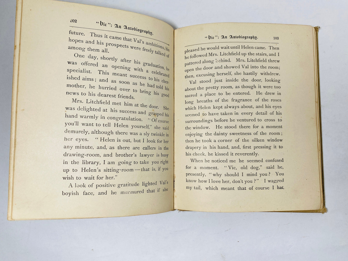 Vic the Autobiography of a Fox Terrier FIRST EDITION vintage children's book by Marie More Marsh circa 1892 Altemus dog puppy collectible