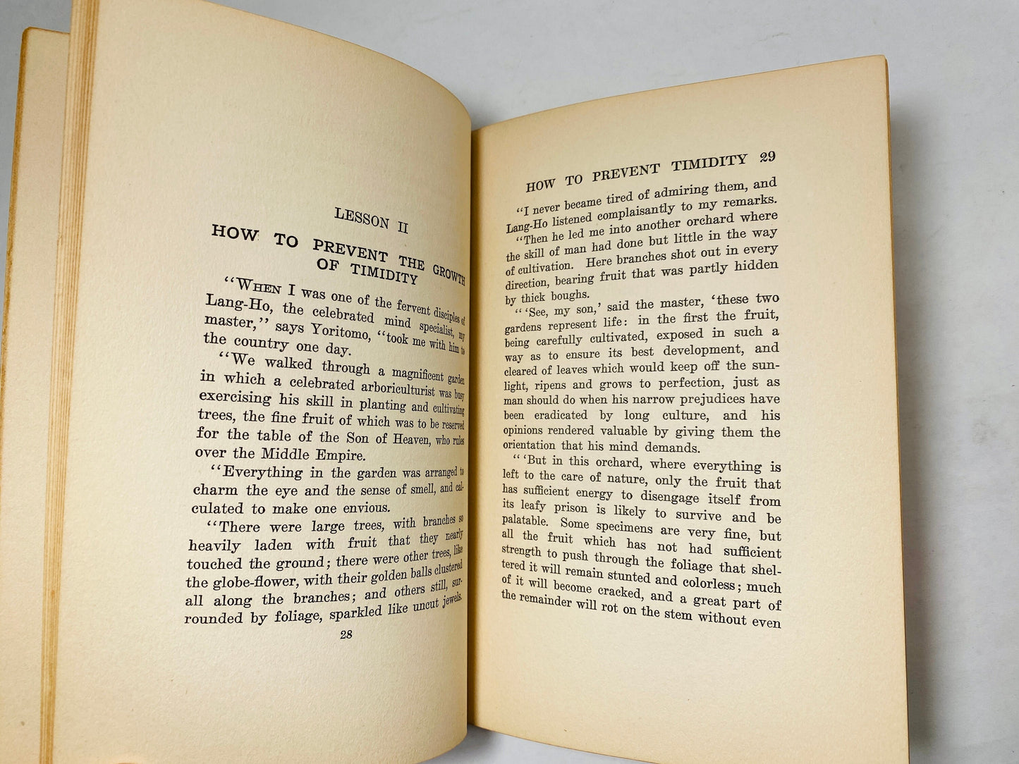 1915 Timidity How to Overcome It by Yoritomo-Tashi Mental Efficiency Series development and self help mindfulness