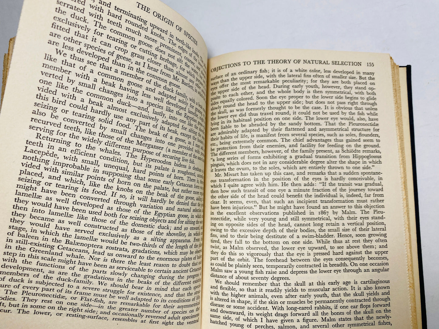 Origin of Species vintage book by Charles Darwin Black and silver decor circa 1945