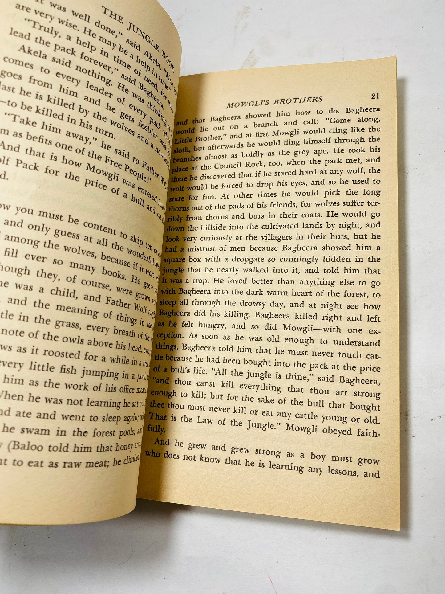 Rudyard Kipling Jungle Book vinage paperback book circa 1970 Book lover gift! Fables Vintage Book
