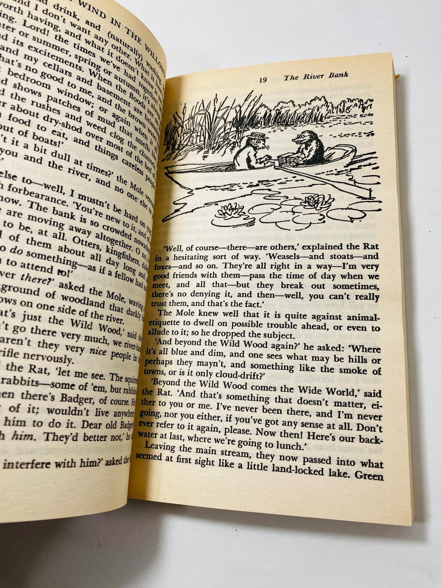 1966 Wind in the Willows Vintage paperback book by Kenneth Grahame illustrated by Ernest H Shepard. Children's bookshelf decor. Airmont