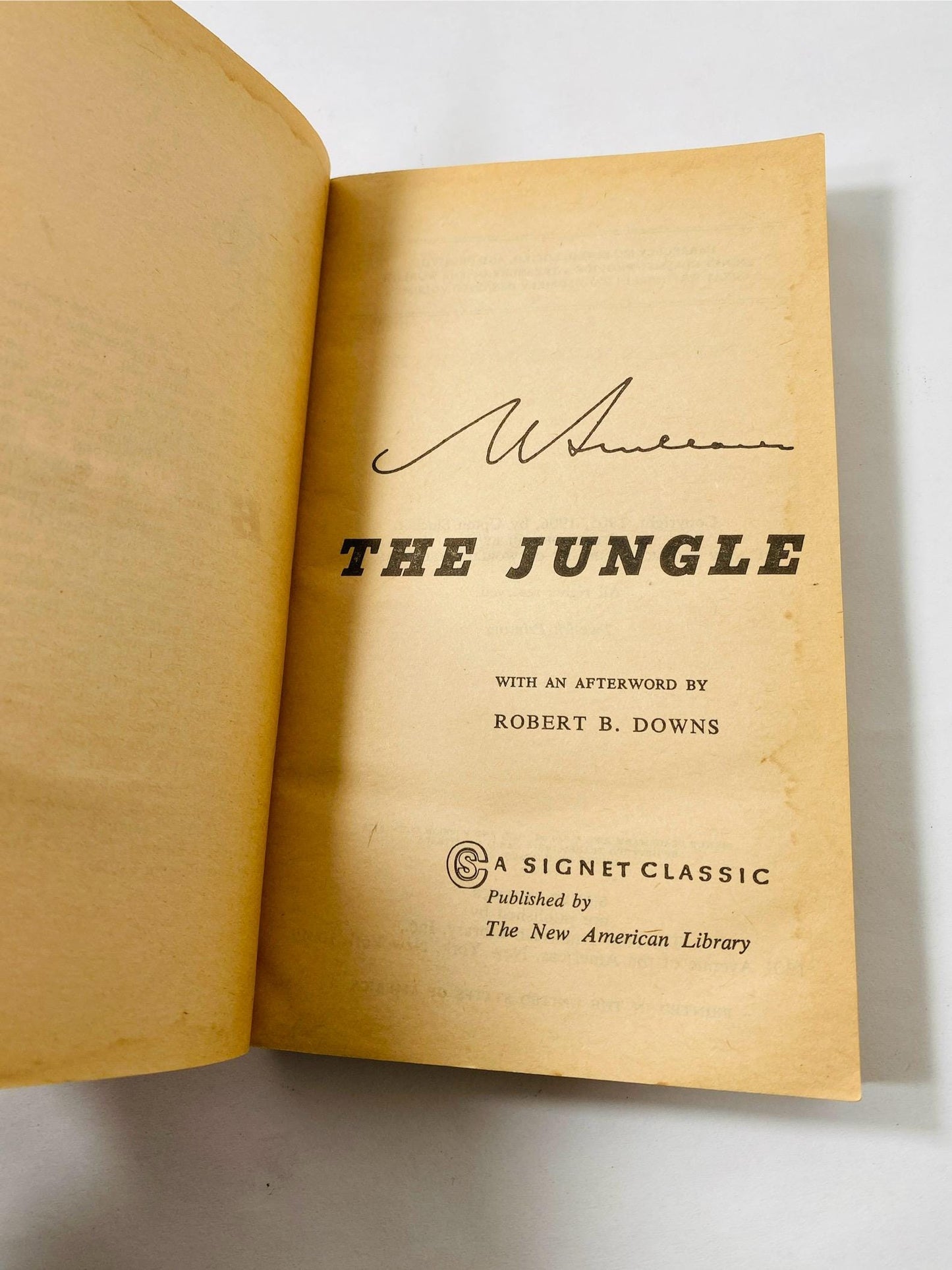 Jungle vintage Signet paperback book by Upton Sinclair circa 1960 Scathing expose of the Chicago meatpacking industry in early 20th century