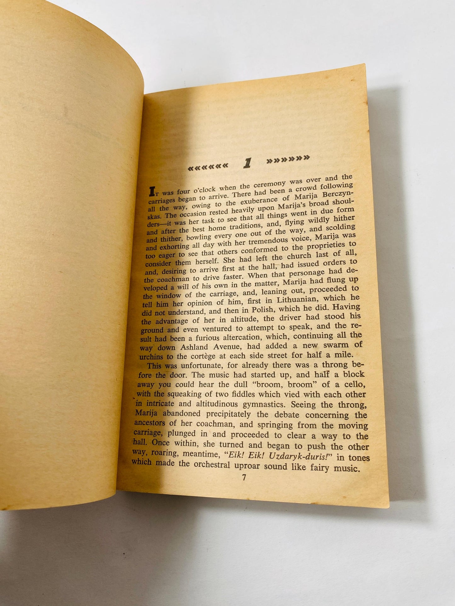 Jungle vintage Signet paperback book by Upton Sinclair circa 1960 Scathing expose of the Chicago meatpacking industry in early 20th century