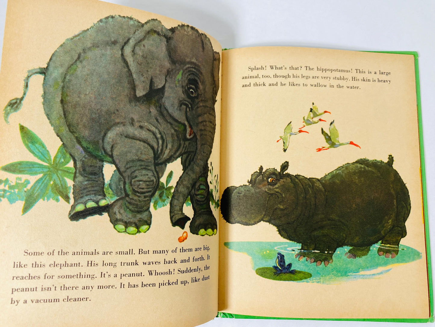 1957 Romper Room Book of Happy Animals Vintage Wonder book by Oscar Weigle Children's story illustrated by Robert Jones. Nancy Claster