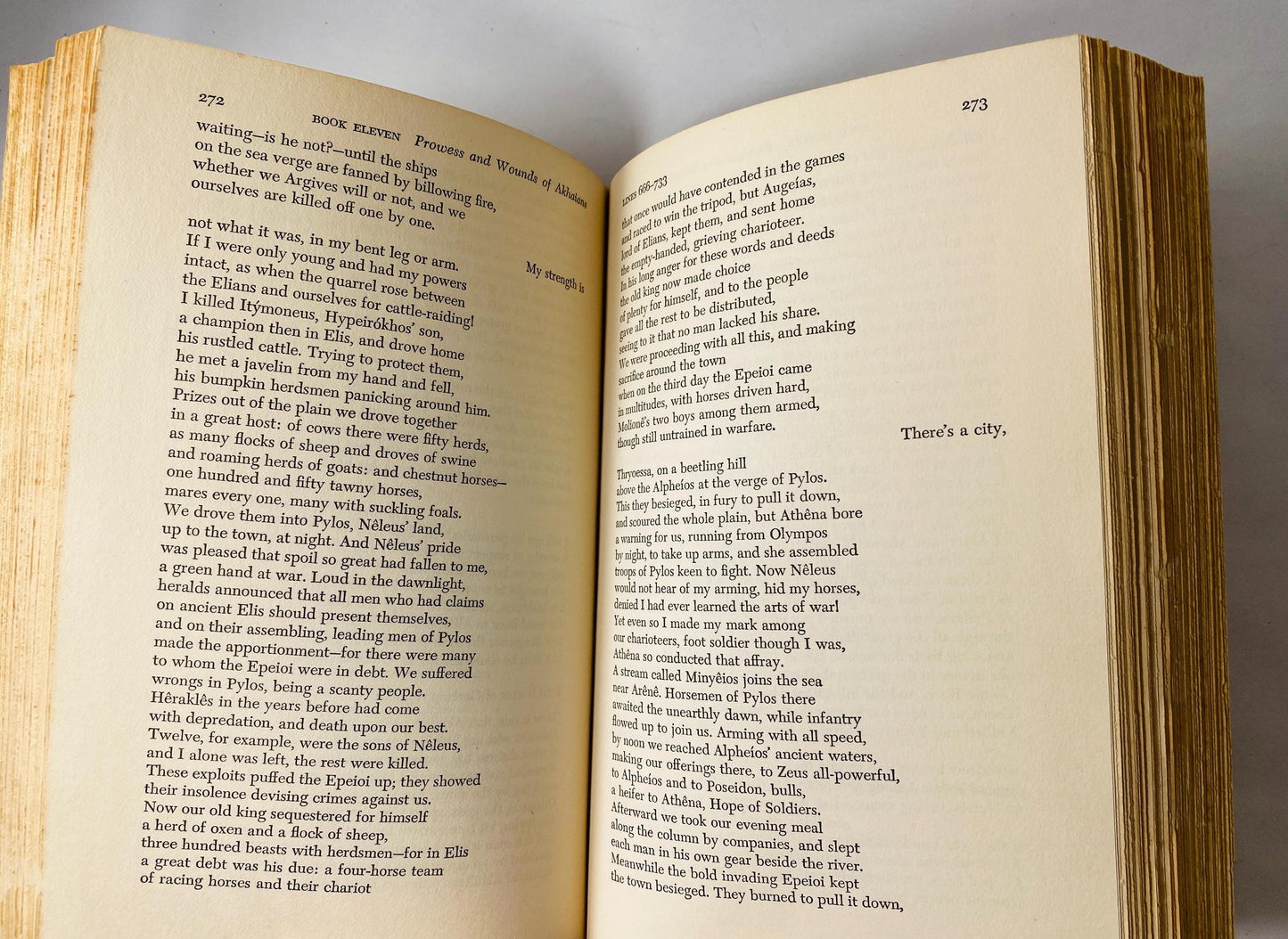 Homer The Iliad vintage book with orange and green boards Home bookshelf decor philosophy teen reading