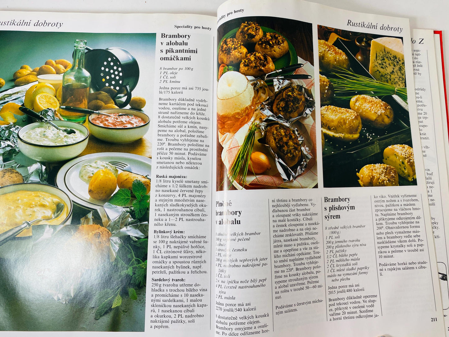 Vaříme s potěšením Cooking with Pleasure vintage Czech by Annette Wolterová and Christian Teubner circa 1997 European recipes meat dumplings