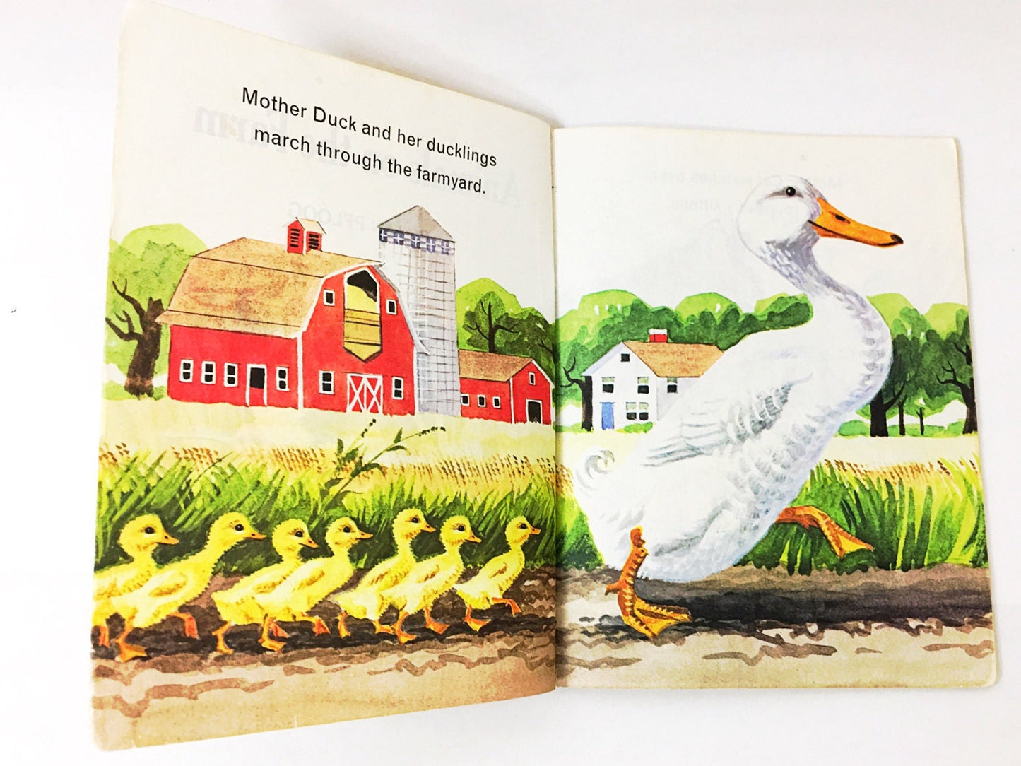 Animals on the Farm. FIRST EDITION. Little Golden Book. LGB. No writing inside!! hardback children's book. 200-41