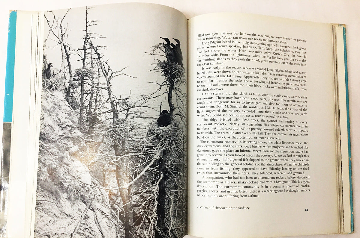 Adventures Among Birds First Edition vintage book circa 1959 Hugh M Halliday Ornithology gift nature Environment outdoors nature lover gift