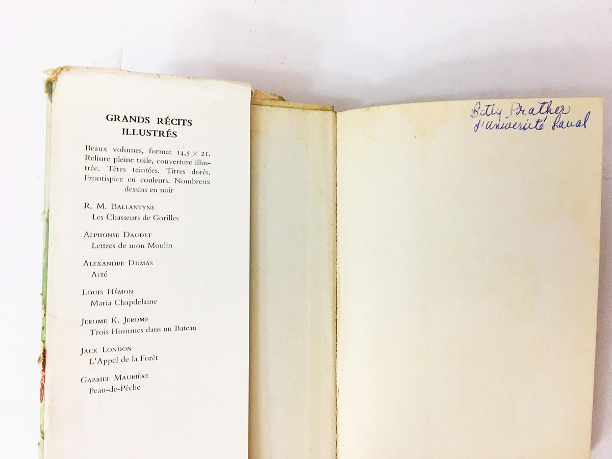 Le Petit Chose Vintage French book by Daudet Alphonse circa 1958. Autobiographical memoir Little Good-For-Nothing. White book decor. Gift