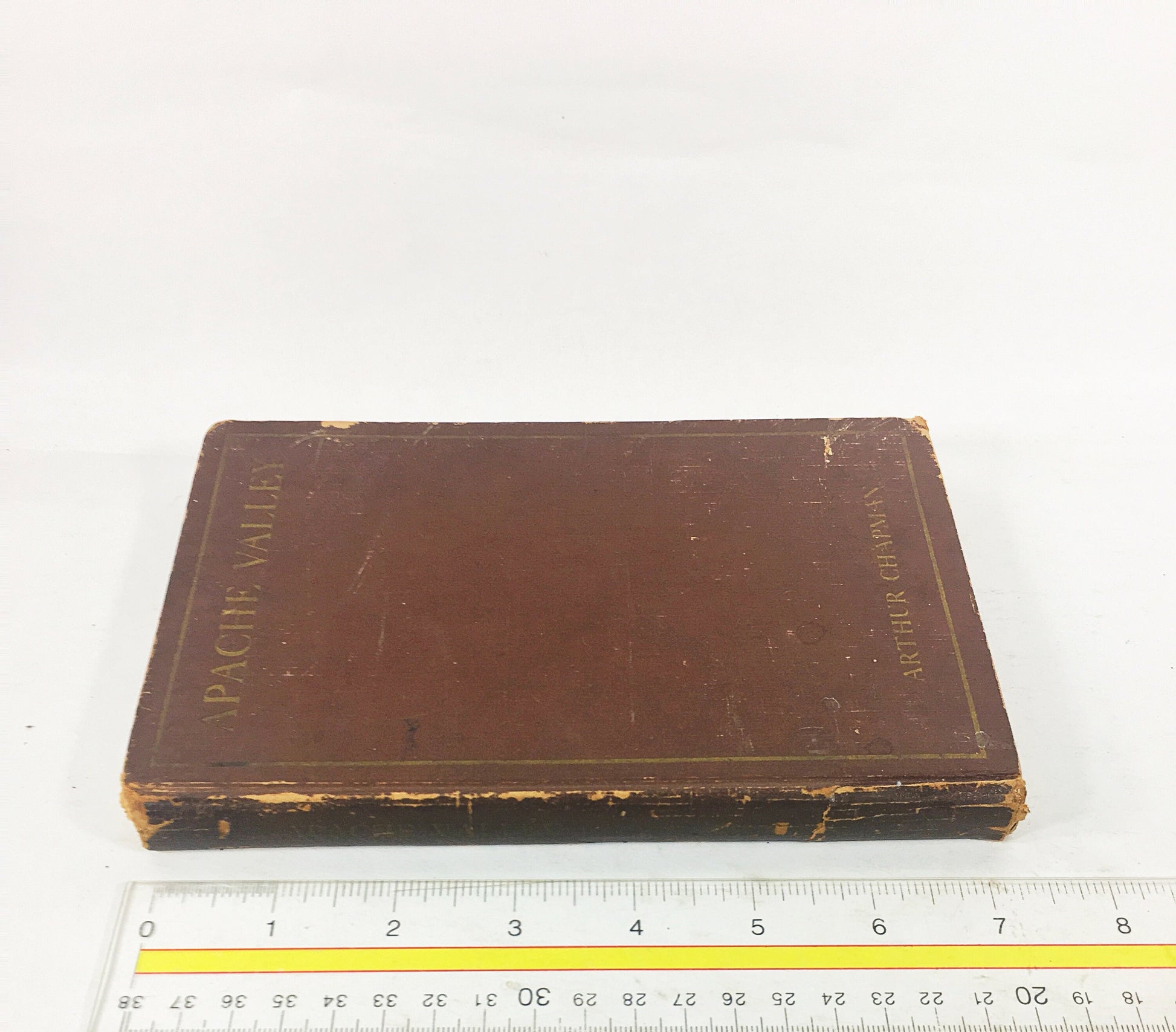 Apache Valley by Arthur Chapman. Vintage pulp western book circa 1925 about a cattle war in the southwest, terror & blood feud. Brown decor