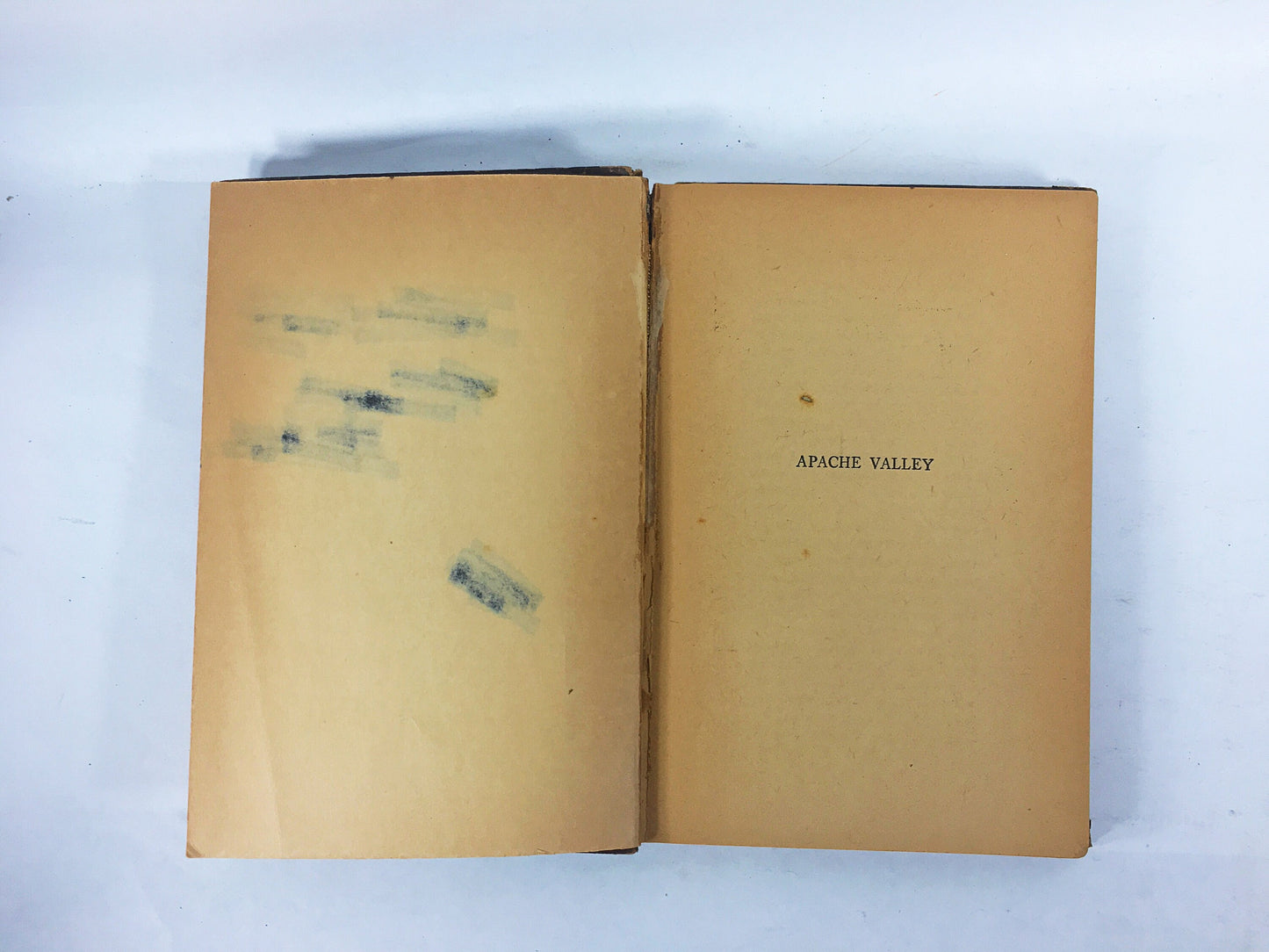 Apache Valley by Arthur Chapman. Vintage pulp western book circa 1925 about a cattle war in the southwest, terror & blood feud. Brown decor