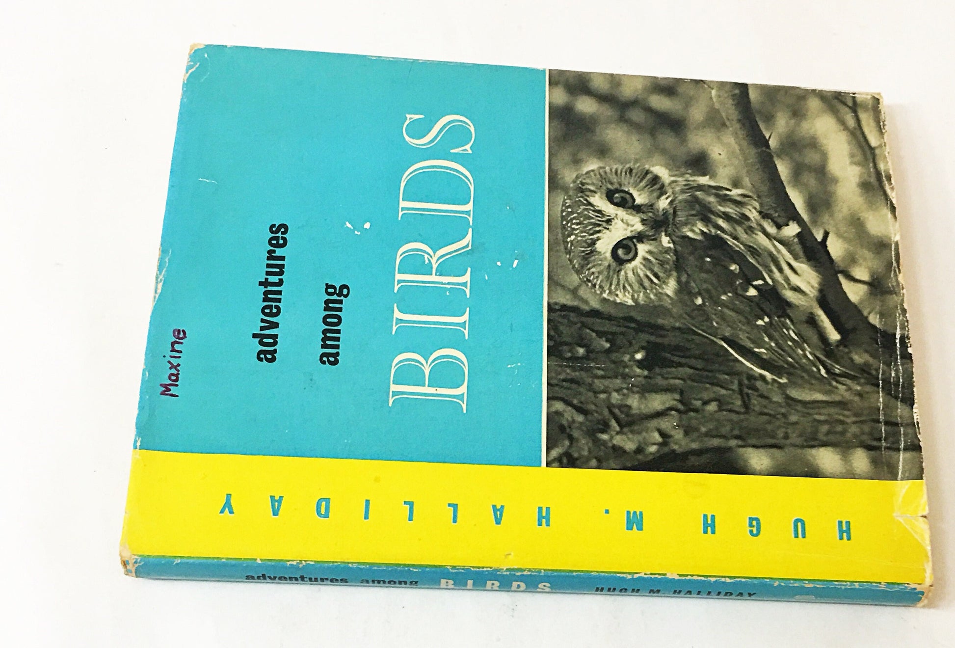 Adventures Among Birds First Edition vintage book circa 1959 by Hugh M Halliday Ornithology gift nature Environment