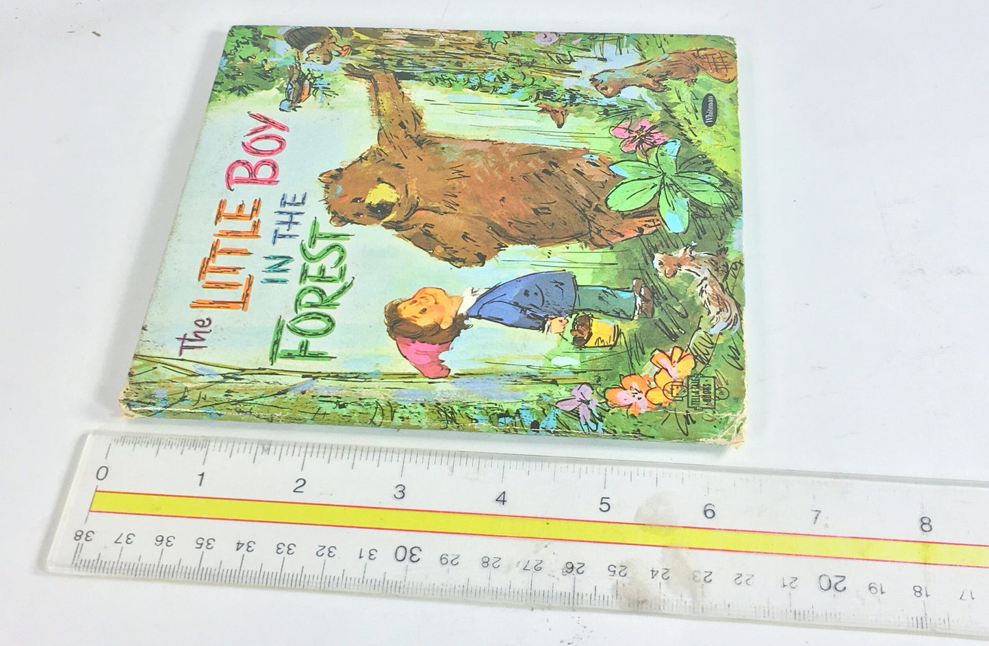 Little Boy in the Forest by David Harrison. Vintage Whitman Tell-a-Tale children's book circa 1969. Animals help the lost boy find home.