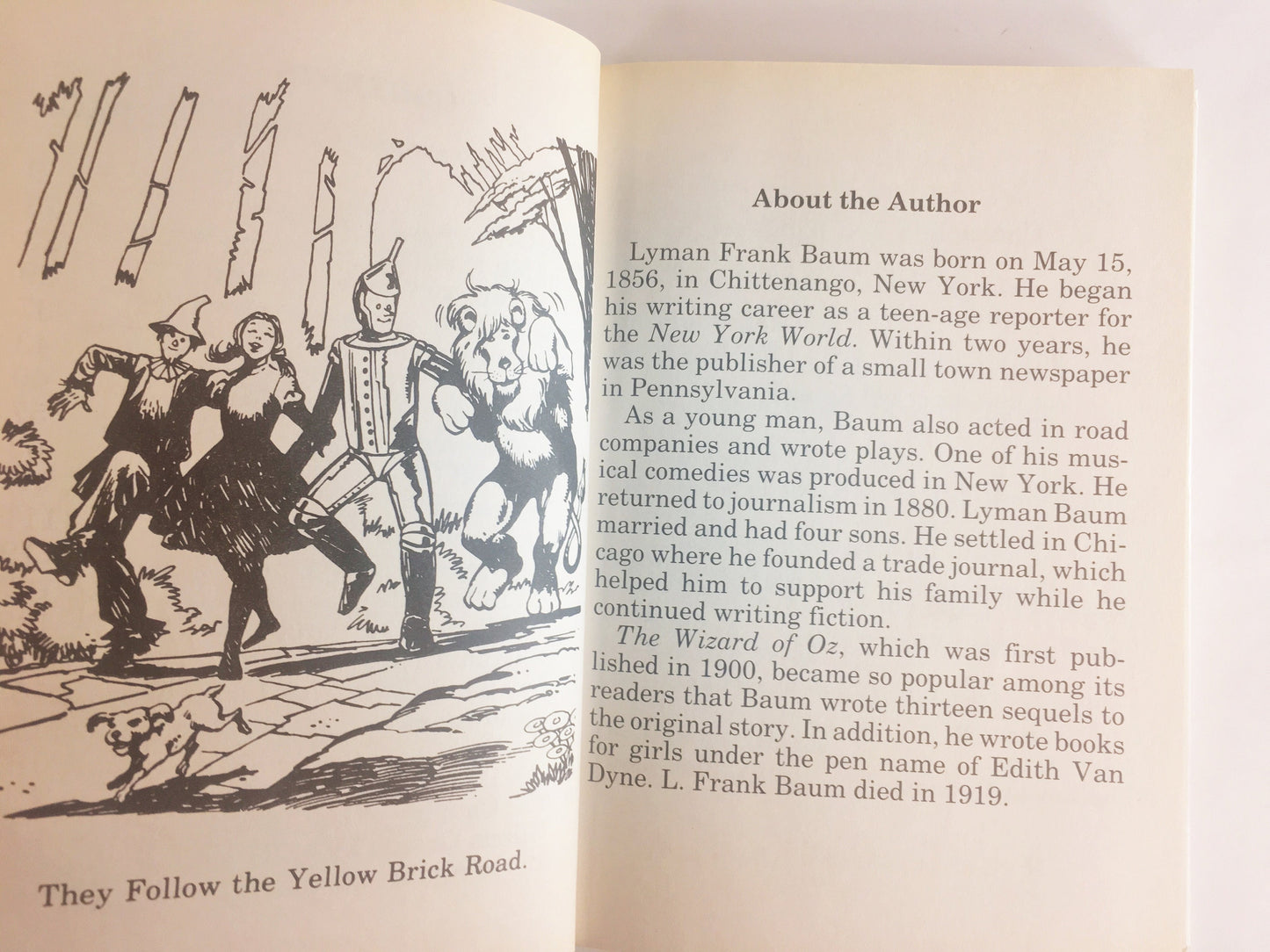 1989 Wizard of Oz by L Frank Baum. Vintage Classic Illustrated Book Series. Easter Passover gift. Bookshelf prop staging home decor