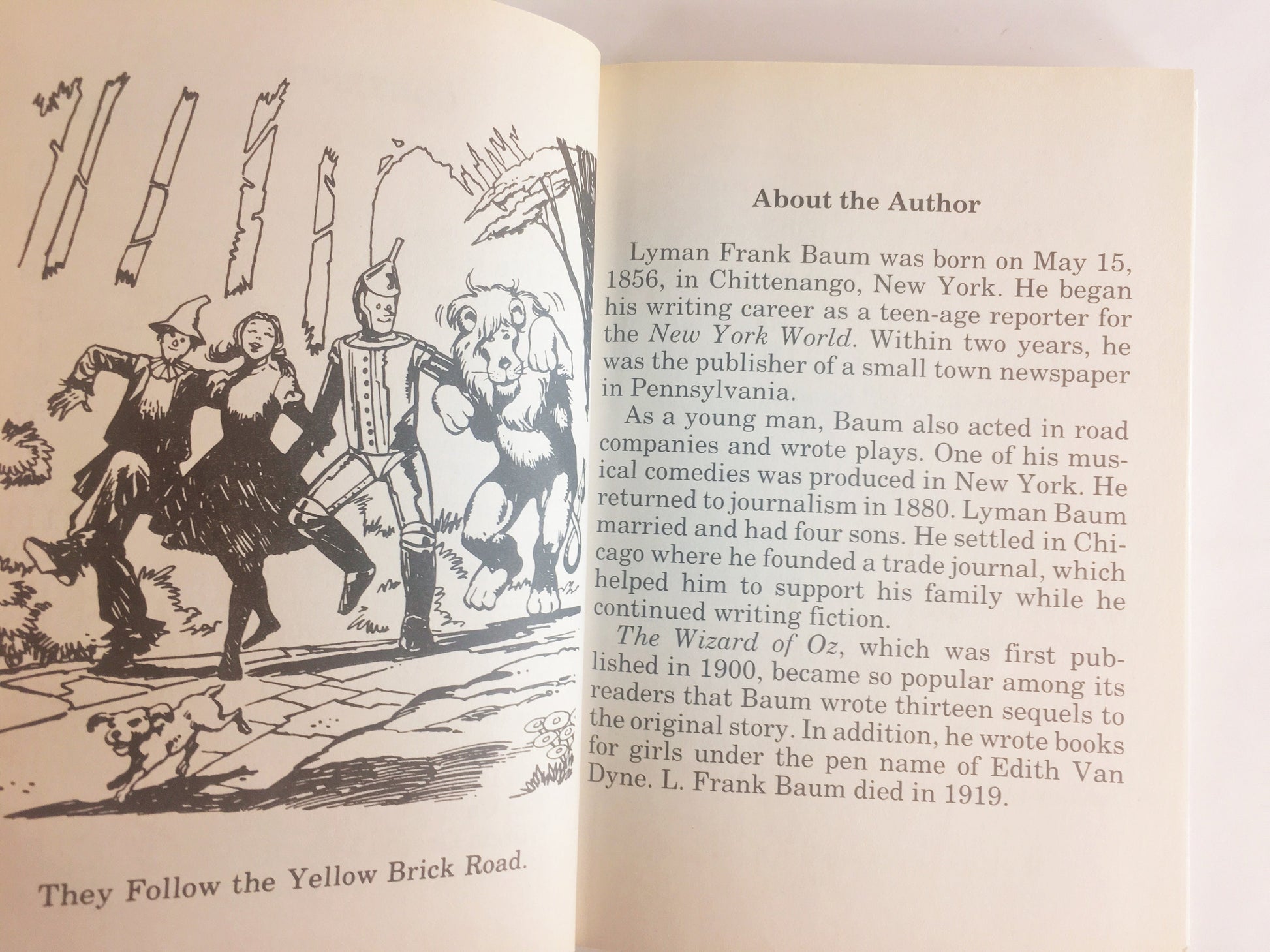 1989 Wizard of Oz by L Frank Baum. Vintage Classic Illustrated Book Series. Easter Passover gift. Bookshelf prop staging home decor