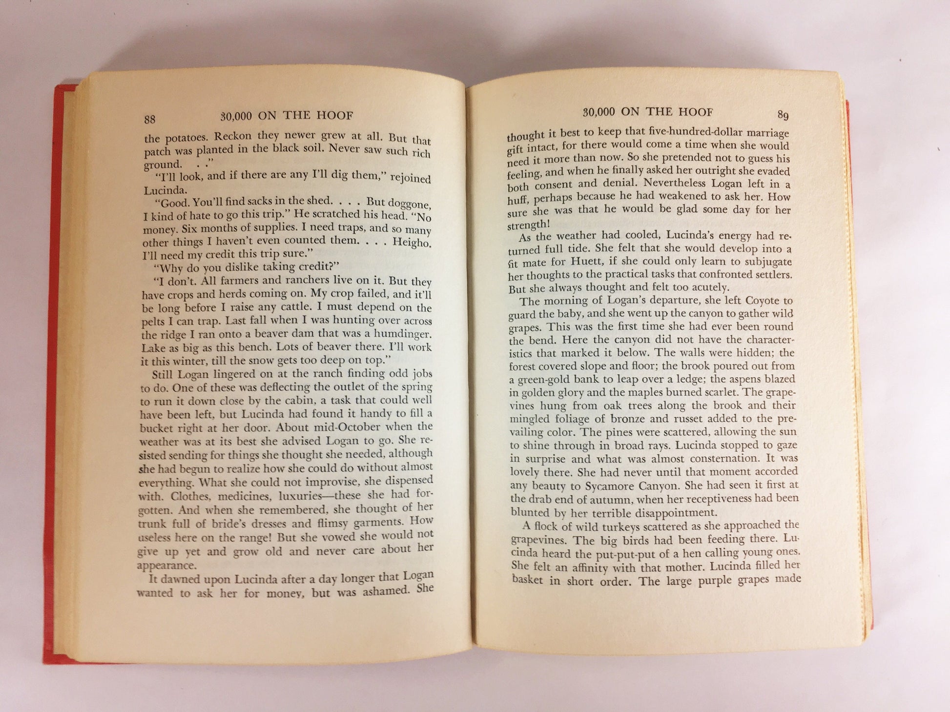 Zane Grey 30,000 on the Hoof. Vintage book circa 1940. Story of a frontier wife during the pioneer days in the Old Wild West. Red book decor