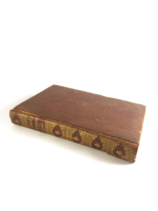 1890 A Hardy Norseman by Edna Lyall aka Ada Ellen Bayly. ANTIQUE reddish brown & gold book vintage Prop staging bookshelf decor.