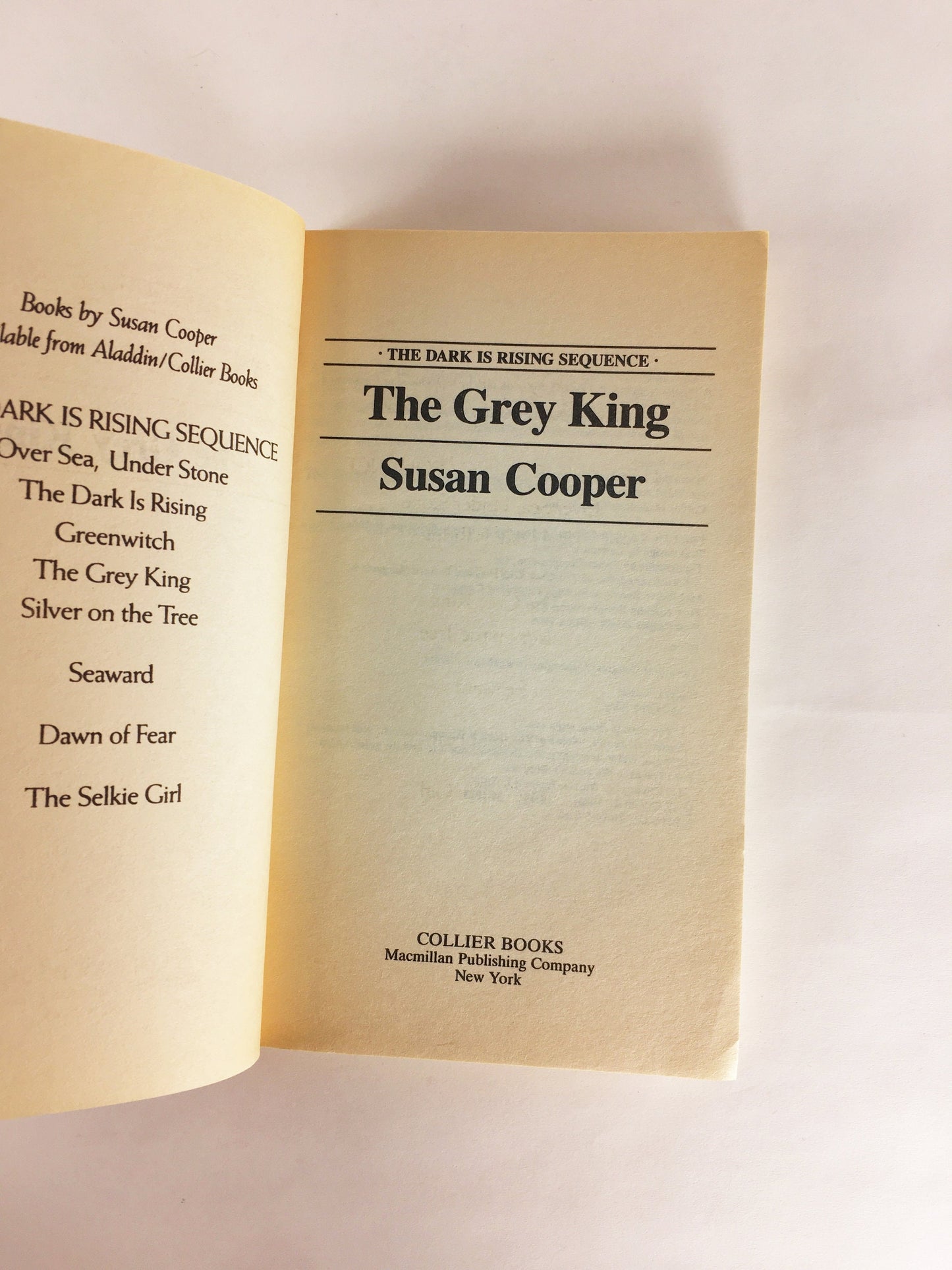 Grey King by Susan Cooper Vintage Fantasy paperback book Newberry Medal. Moral vision of Tolkien and CS Lewis. Boy recovering from illness