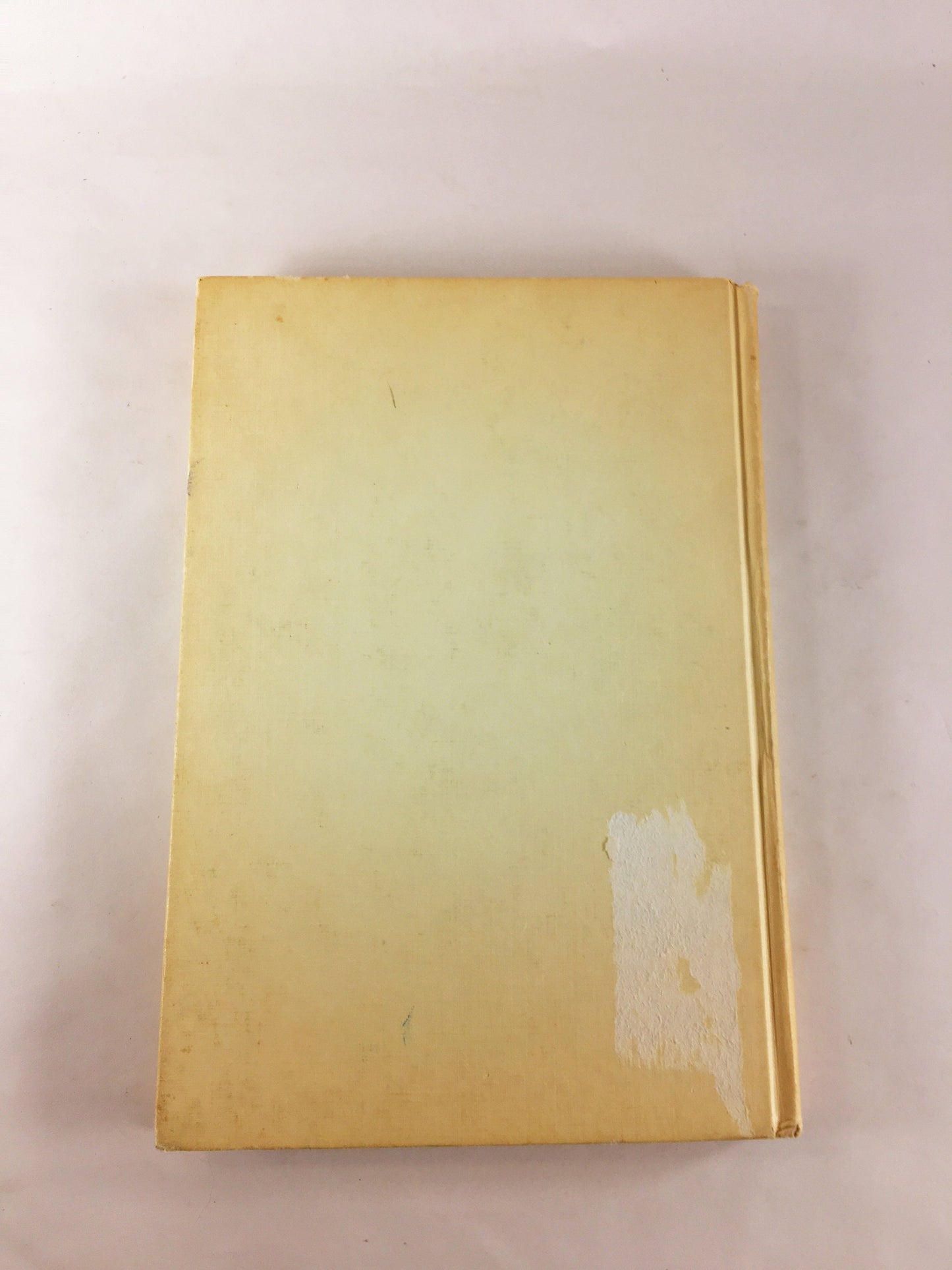 1973 Treasure Island by Robert Louis Stevenson. Vintage Danbury Press book Prop staging bookshelf decor. Children's adventure stories