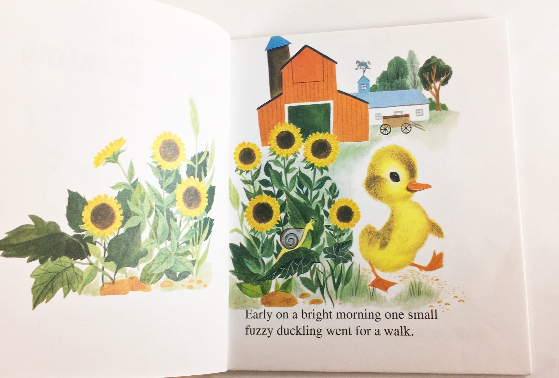 1994 Fuzzy Duckling Vintage First Little Golden Book by Jane Werner illustrated by Alice & Martin Provensen. Elementary beginning reader