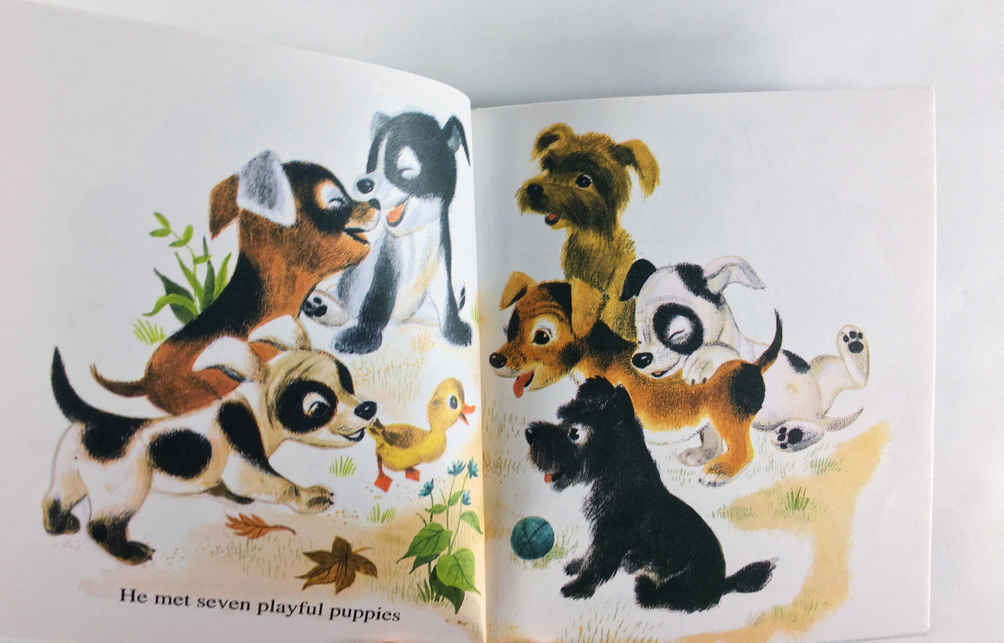 1994 Fuzzy Duckling Vintage First Little Golden Book by Jane Werner illustrated by Alice & Martin Provensen. Elementary beginning reader