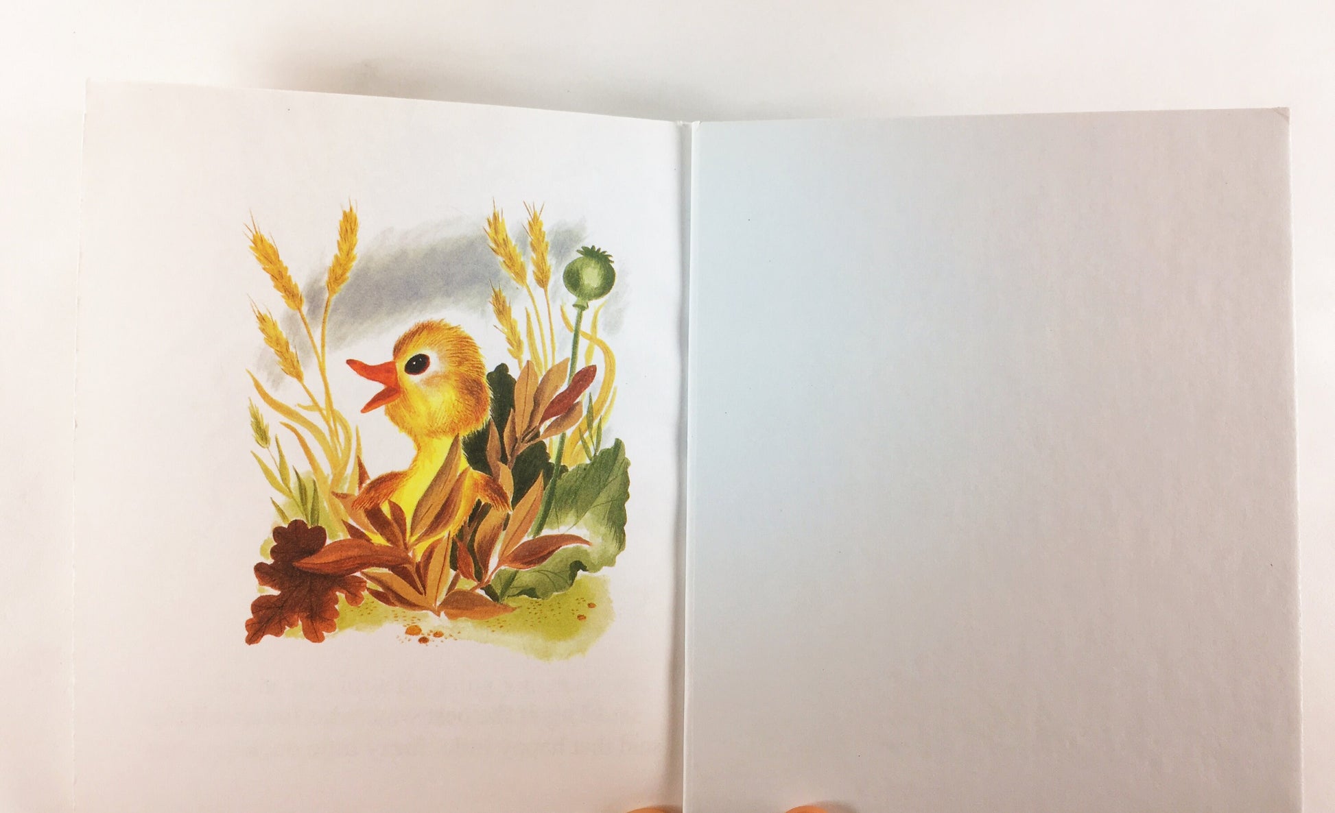 1994 Fuzzy Duckling Vintage First Little Golden Book by Jane Werner illustrated by Alice & Martin Provensen. Elementary beginning reader