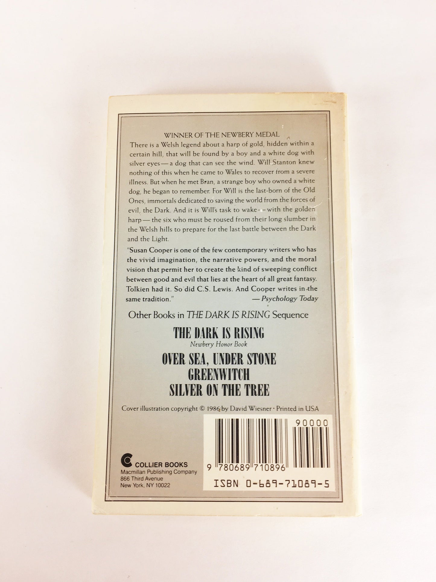 Grey King by Susan Cooper Vintage Fantasy paperback book Newberry Medal. Moral vision of Tolkien and CS Lewis. Boy recovering from illness