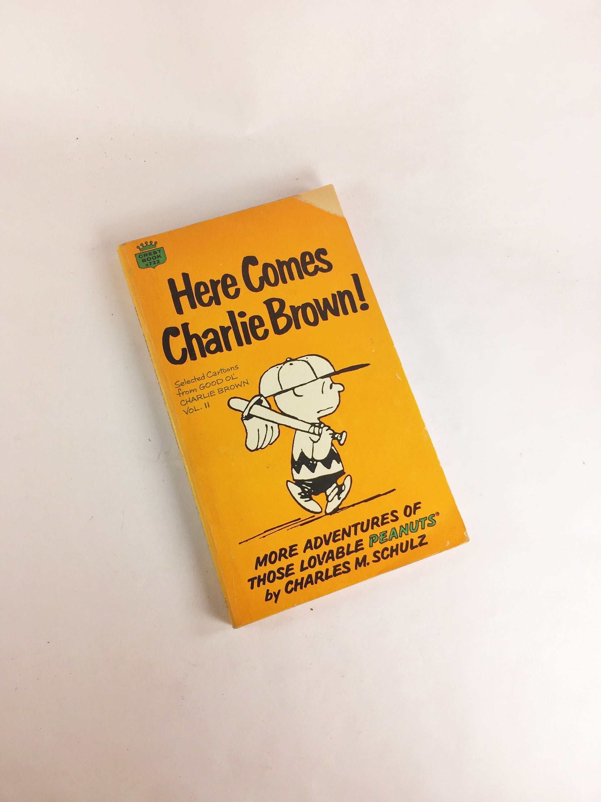 1964 Charlie Brown vintage paperback books by Charles Schulz. What's Next, Slide Snoopy Lucy Woodstock Linus. Beat friend gift