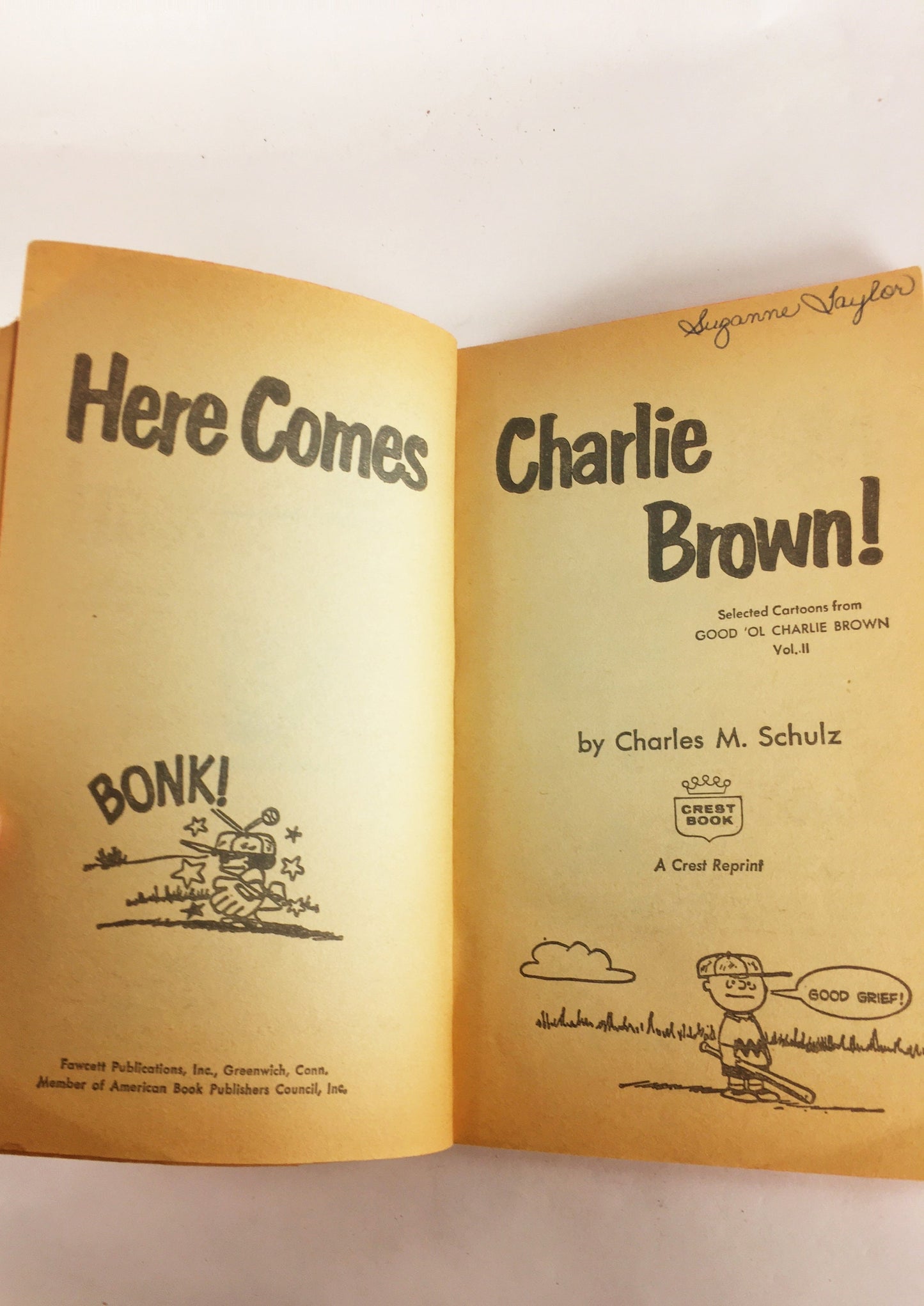 1964 Charlie Brown vintage paperback books by Charles Schulz. What's Next, Slide Snoopy Lucy Woodstock Linus. Beat friend gift