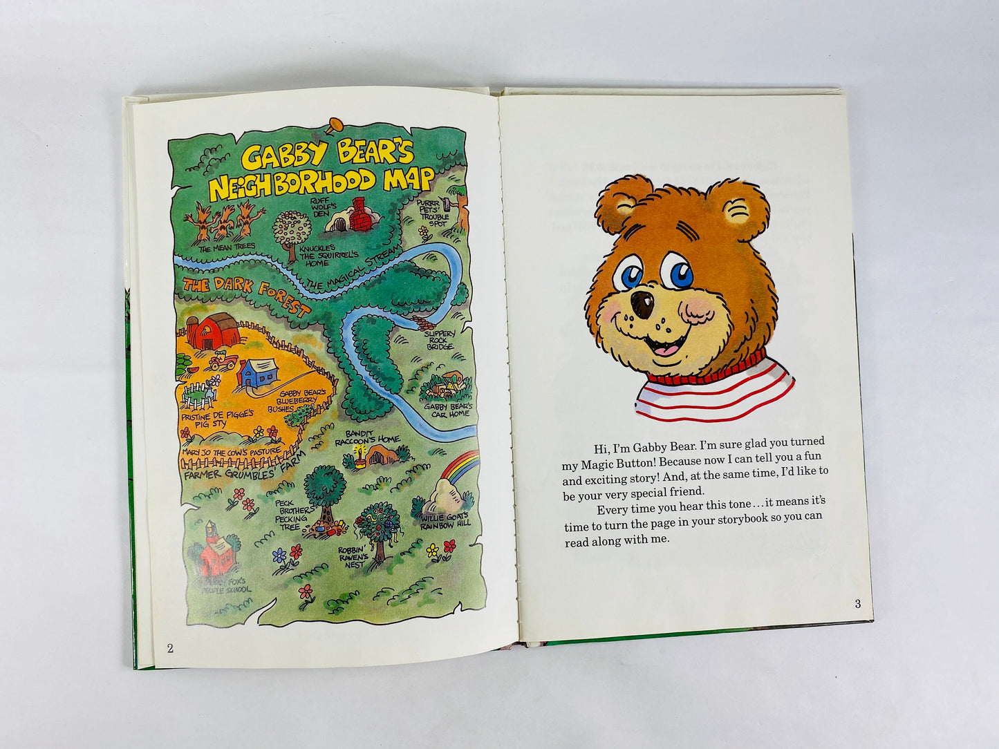 Gabby Bear Tells a Story. Ruff Wolff's Not So Tough by Glen Olson & Rod Baker circa 1979. First Edition! Book lover gift. Children's story