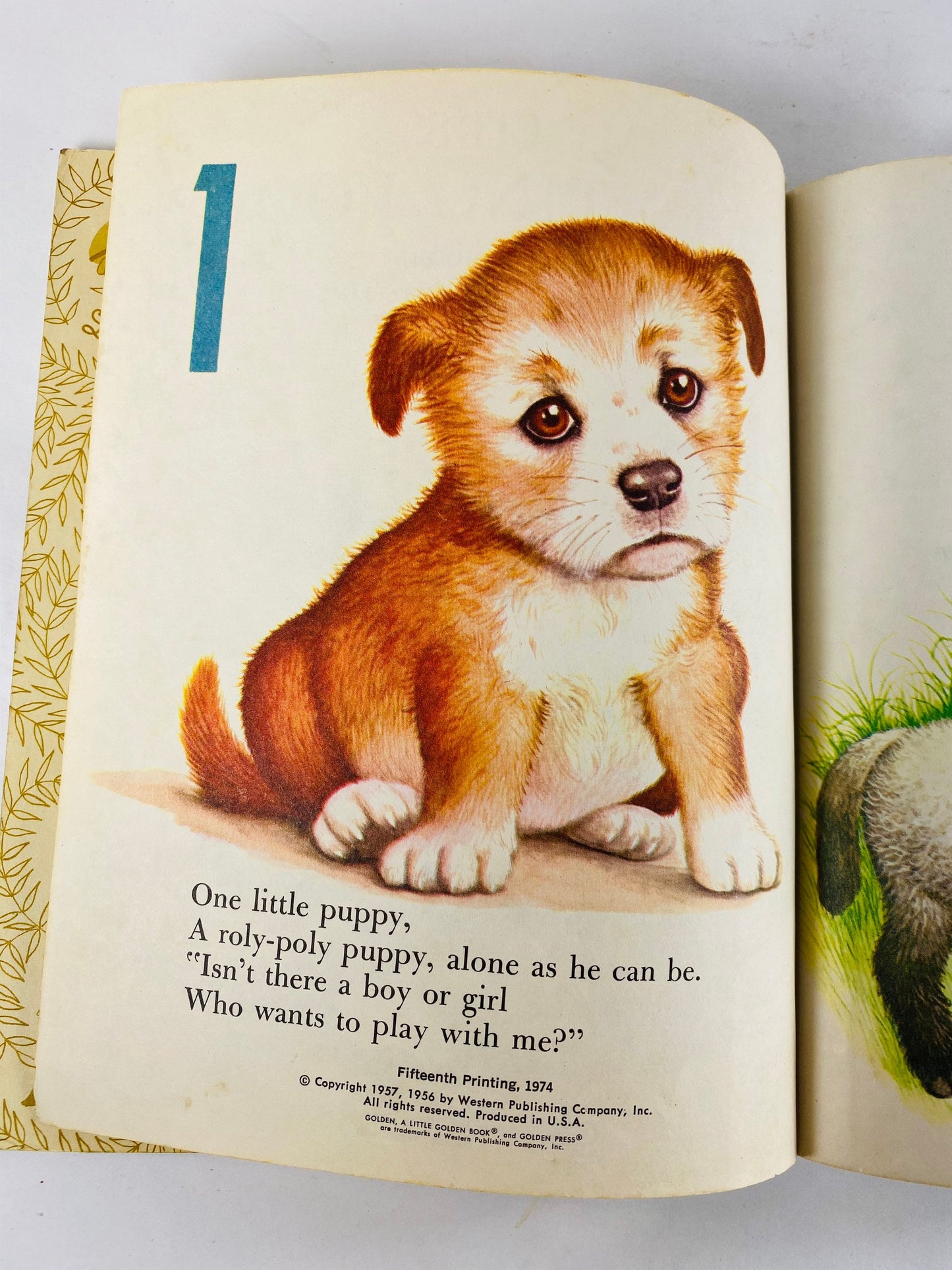 1985 My First Counting Book illustrates by Garth Williams. Little Golden Book. Vintage children's book Lilian Moore