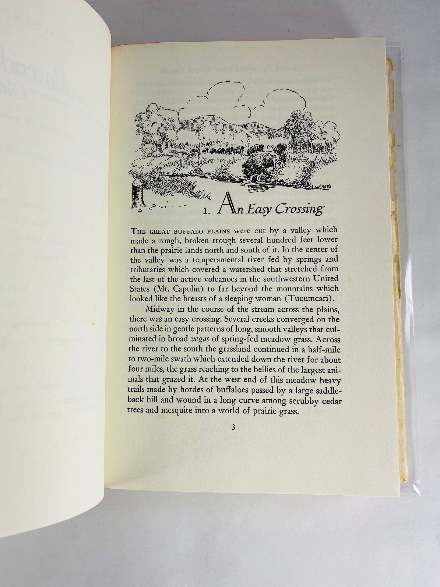 Maverick Town Story of Old Tascosa Book by John Lawton McCarty. Vintage book circa 1968 about Tascosa Texas, a ghost town of crumbling adobe