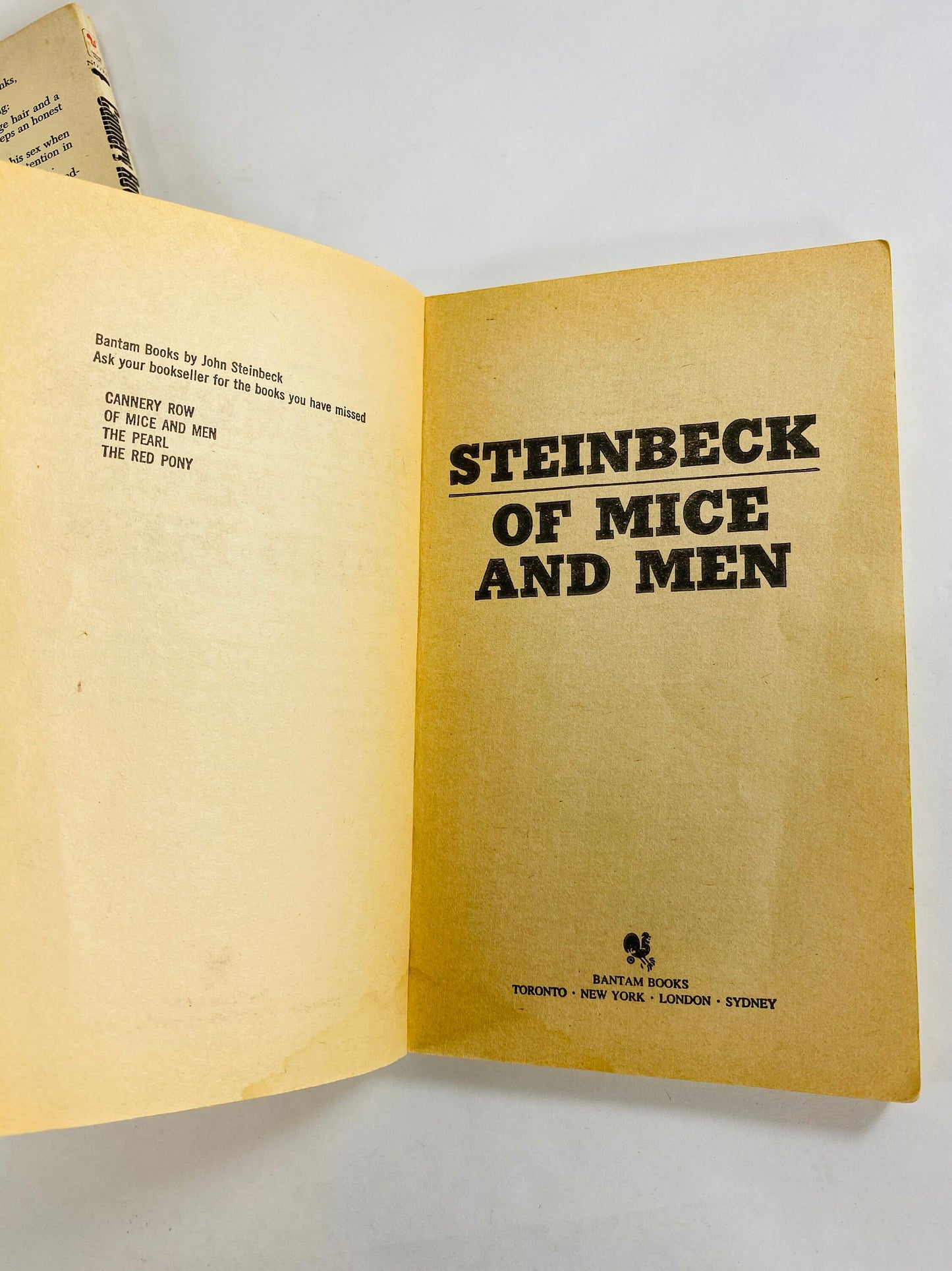 John Steinbeck Of Mice & Men, Cannery Row, Tortilla Flat Vintage paperback book Penguin Bantam. At home reading. Christmas stocking stuffer