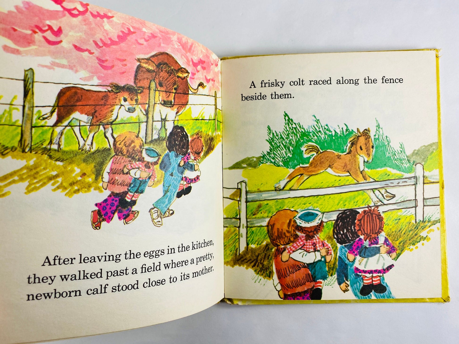 Raggedy Ann and Andy on the Farm FIRST EDITION vintage Whitman Little Golden Book circa 1975