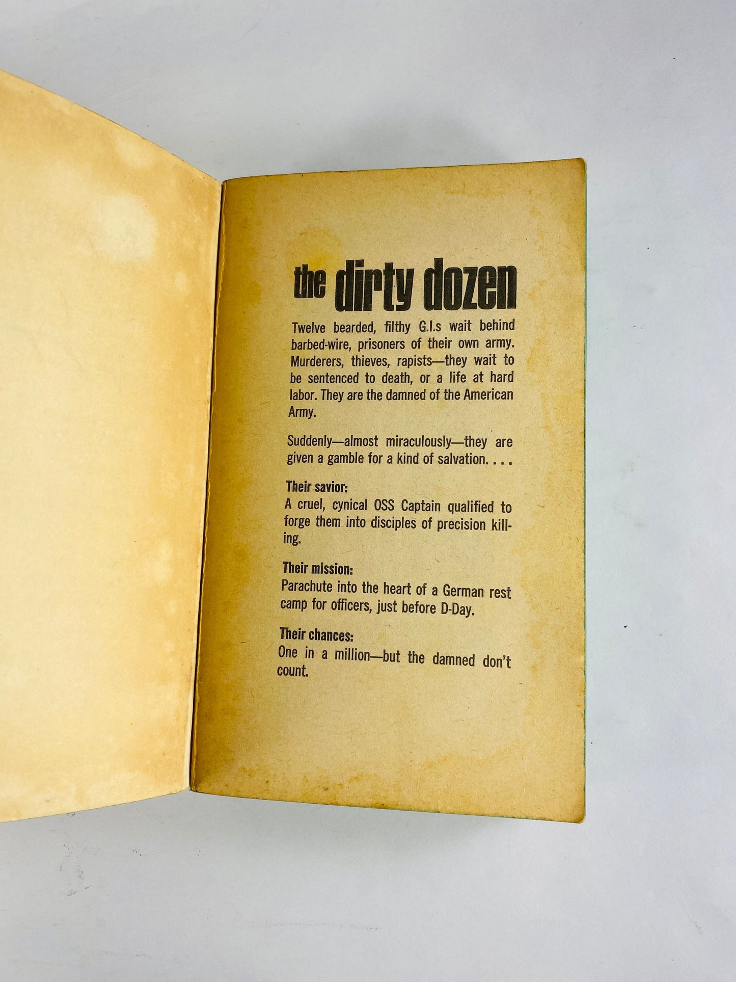 1966 Dirty Dozen vintage paperback book by EM Nathanson about violent criminals on a combat mission under the training Army major