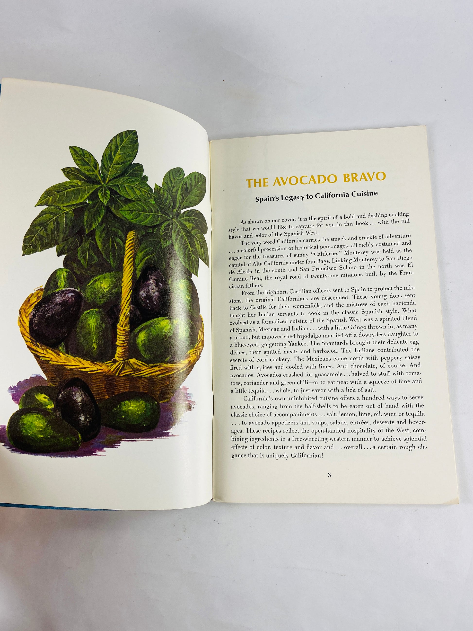 Avocado vintage California cookbook booklet featuring Avocado Bravo, its history, plant instructions and recipes. Aquacates Rellenos salsas