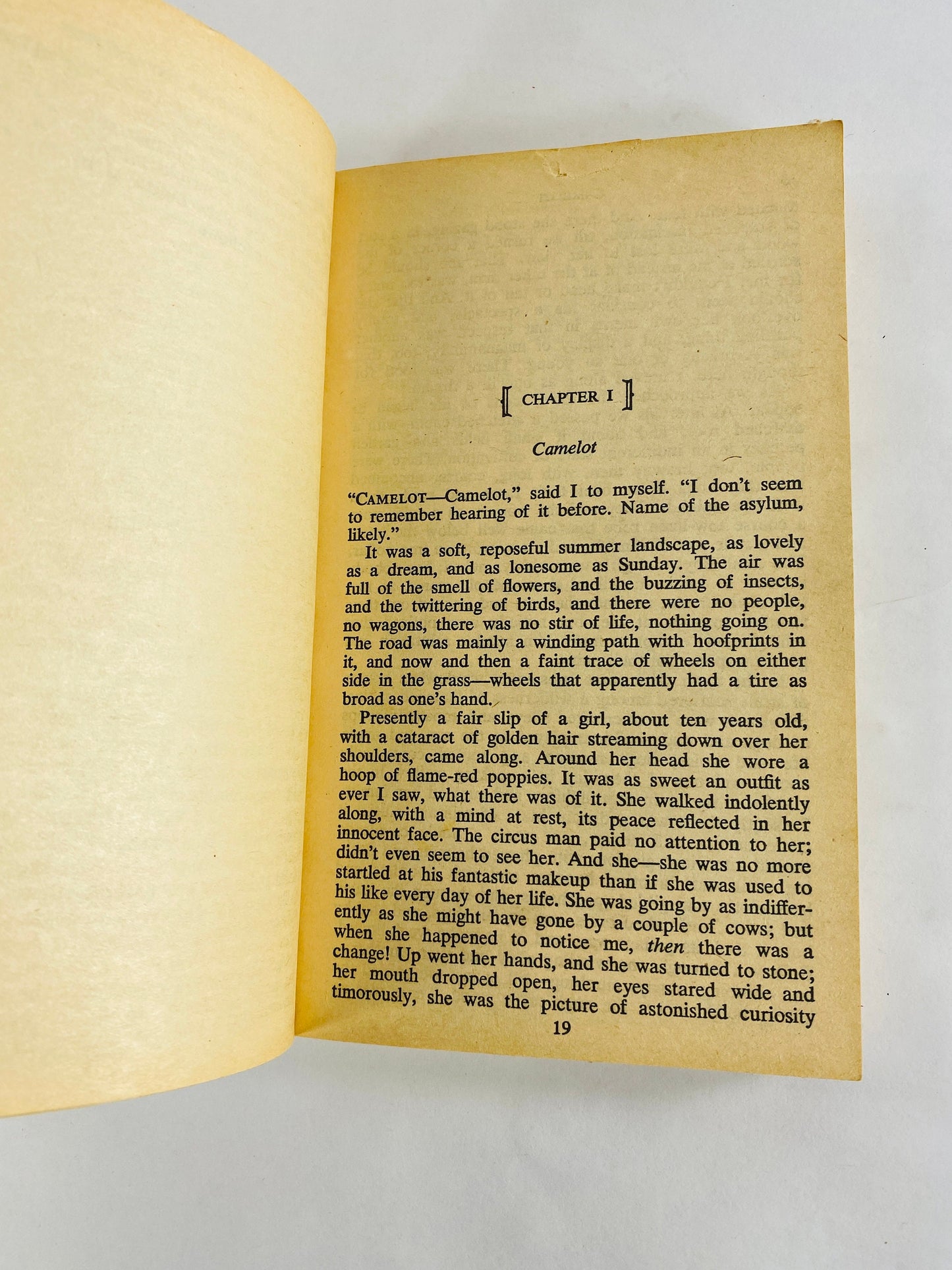 Connecticut Yankee in King Arthur's Court by Mark Twain Vintage Signet Classic paperback book circa 1962. American Classic Library.