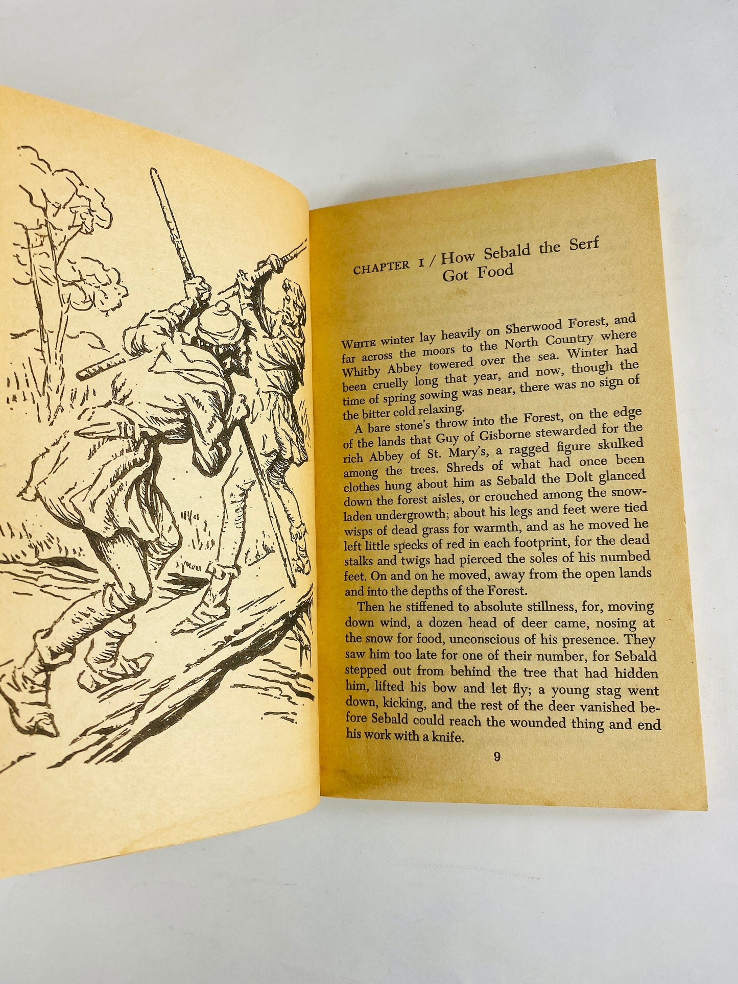 Adventures of Robin Hood vintage Illustrated paperback book circa 1965 E Charles Vivian Jules Gottlieb Children's book decor