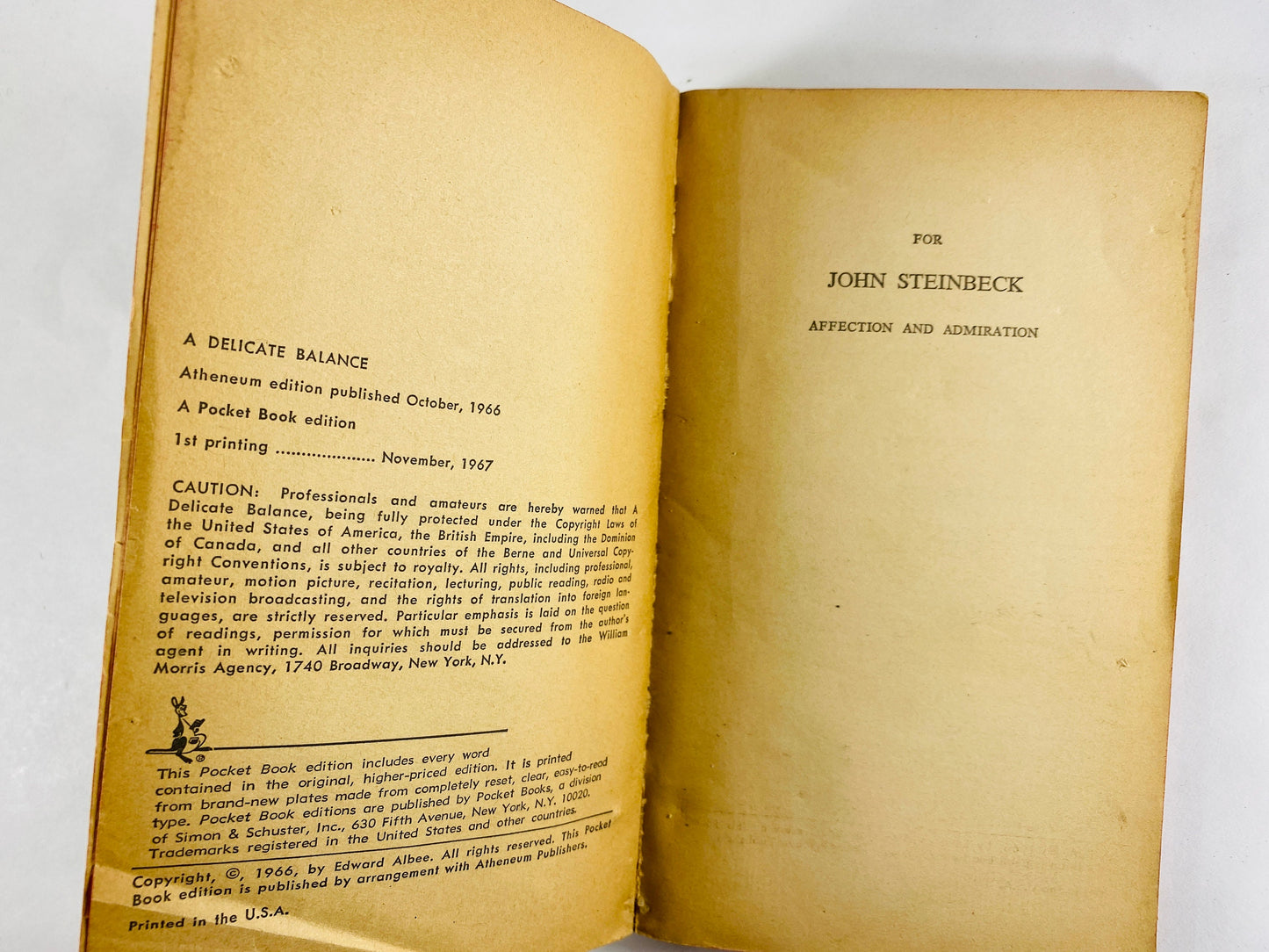 Delicate Balance by Edward Albee Vintage Pocket paperback book circa 1967 dedicated to John Steinbeck. Pulitzer Prize winning play