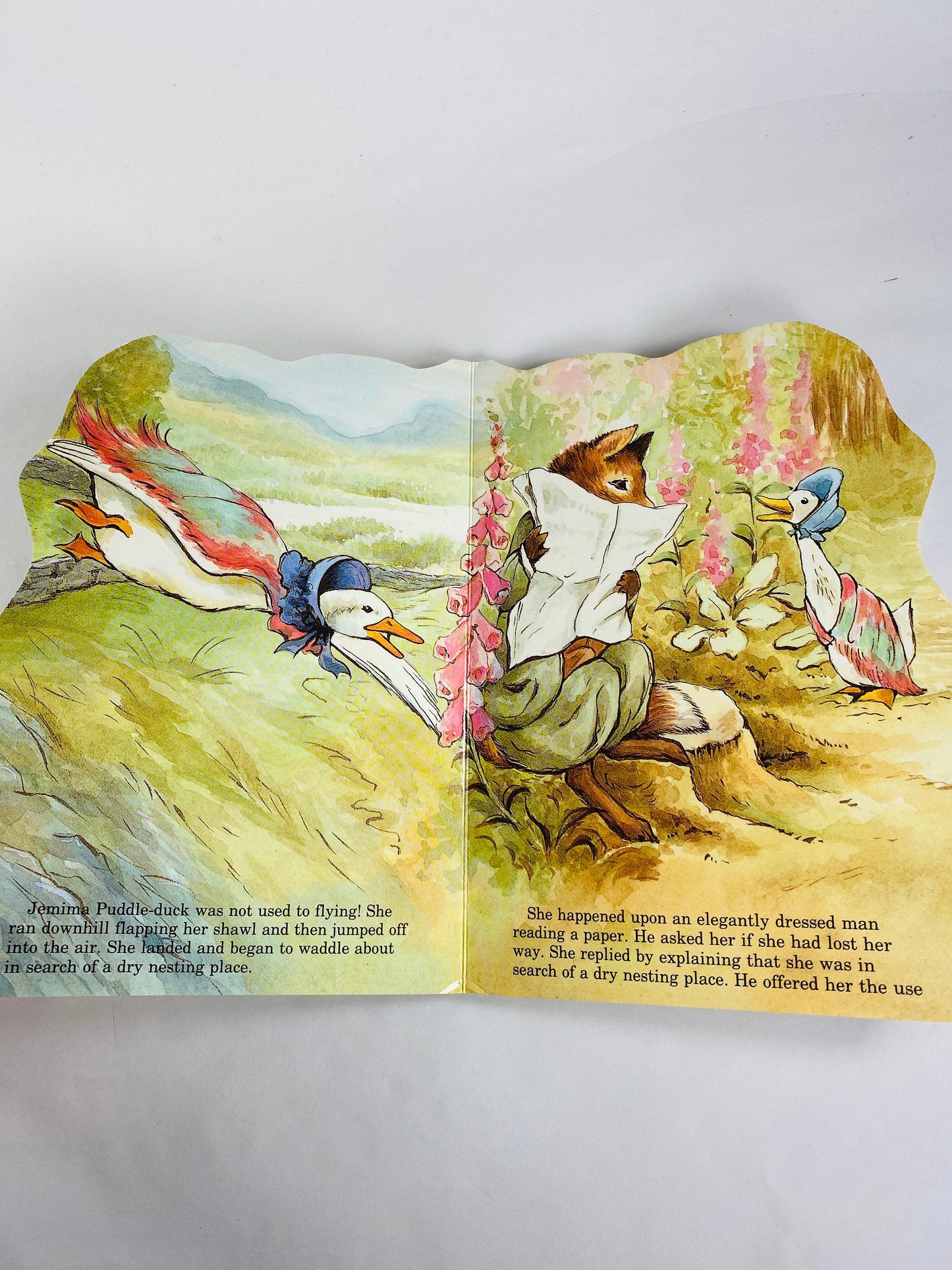 Tale of Jemima Puddle-Duck by Beatrix Potter book circa 1988 Tale of Peter Rabbit. Vintage Children's Book. porch goose