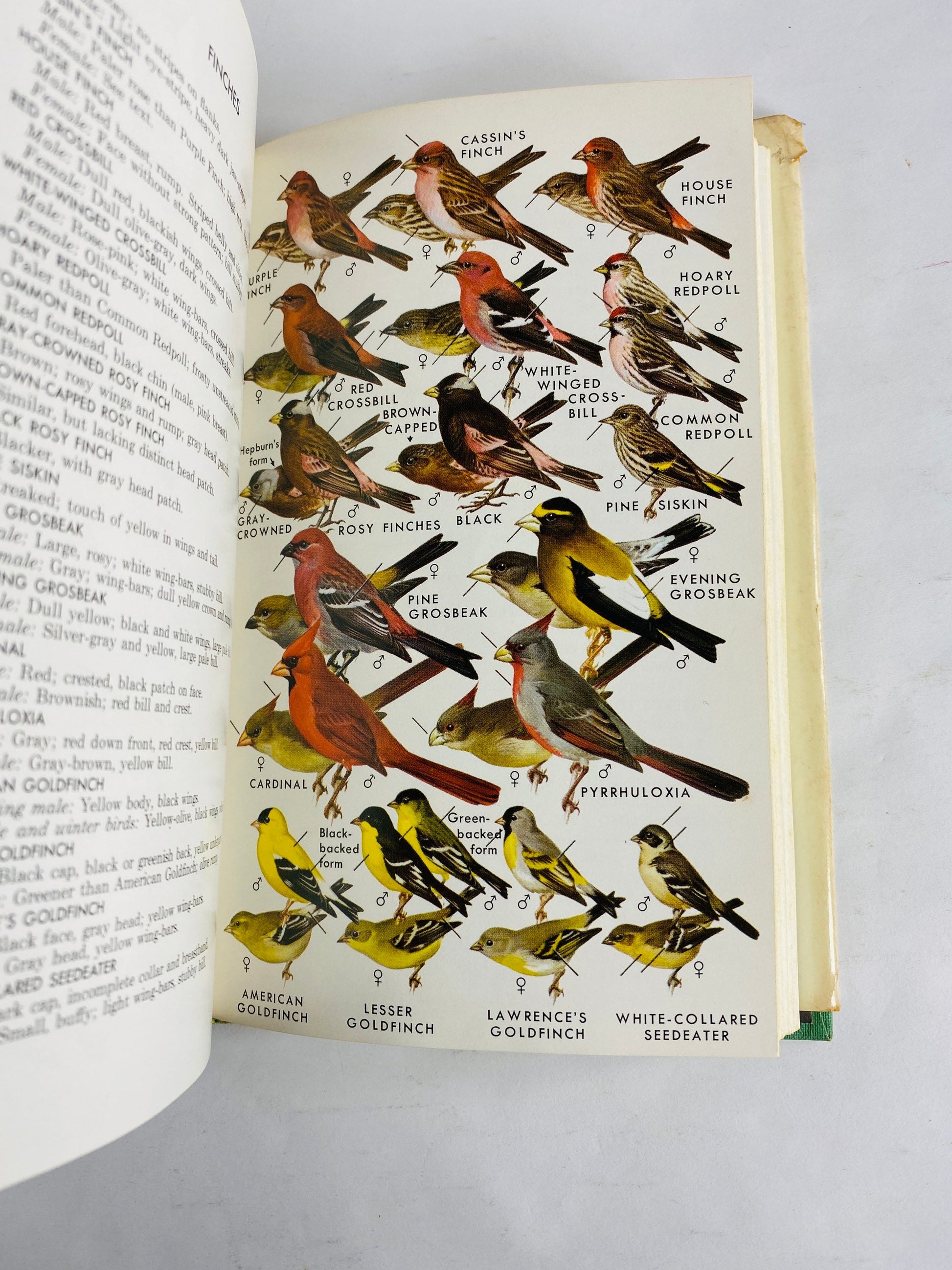 1978 Western Birds Field Guide to Identification by Roger Tory Peterson. Vintage book National Audubon Society