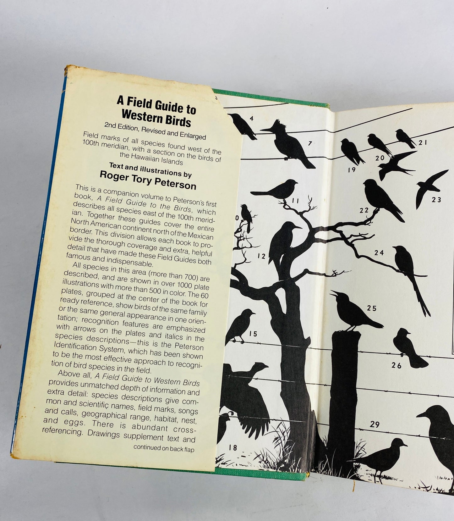 1978 Western Birds Field Guide to Identification by Roger Tory Peterson. Vintage book National Audubon Society