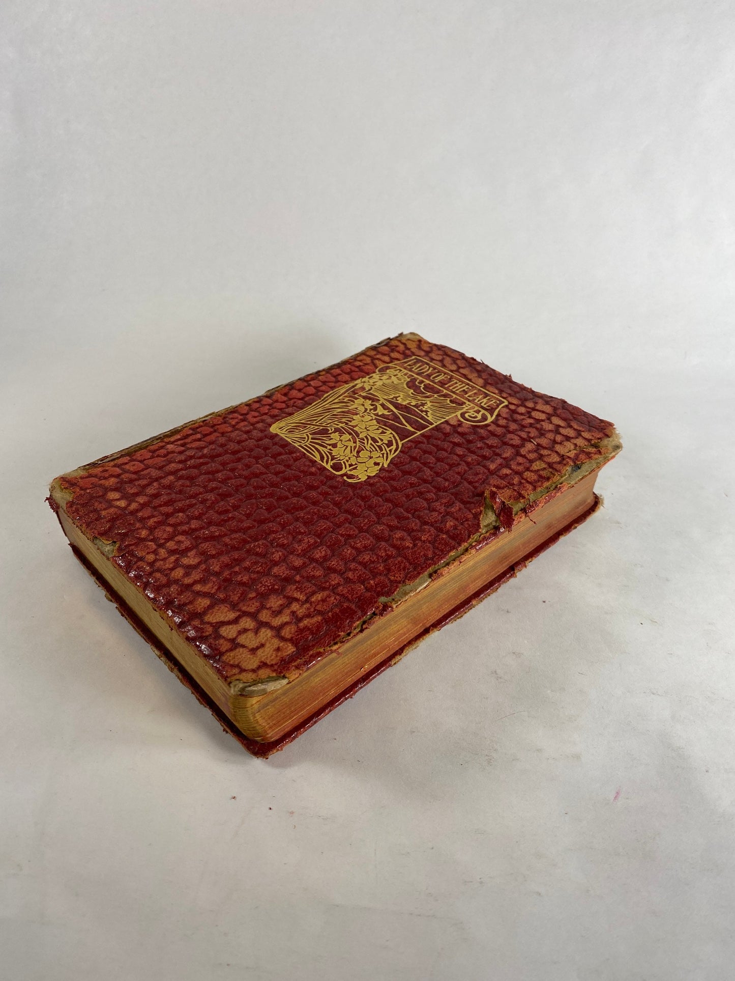 1920 Sir Walter Scott ANTIQUE leather book which inspired the Highland Revival! Lady of the Lake set in Trossachs Scotland